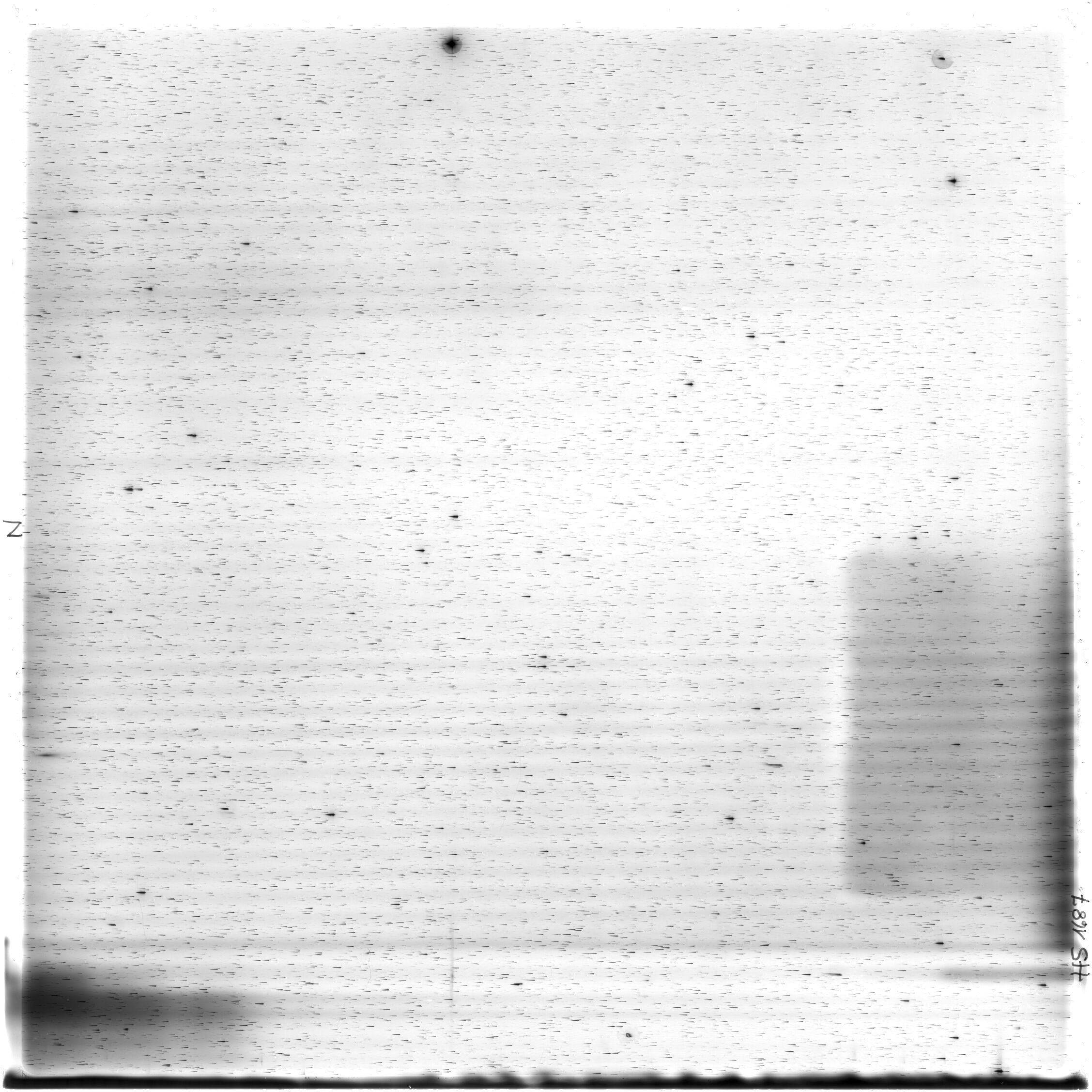 Scan HS01687