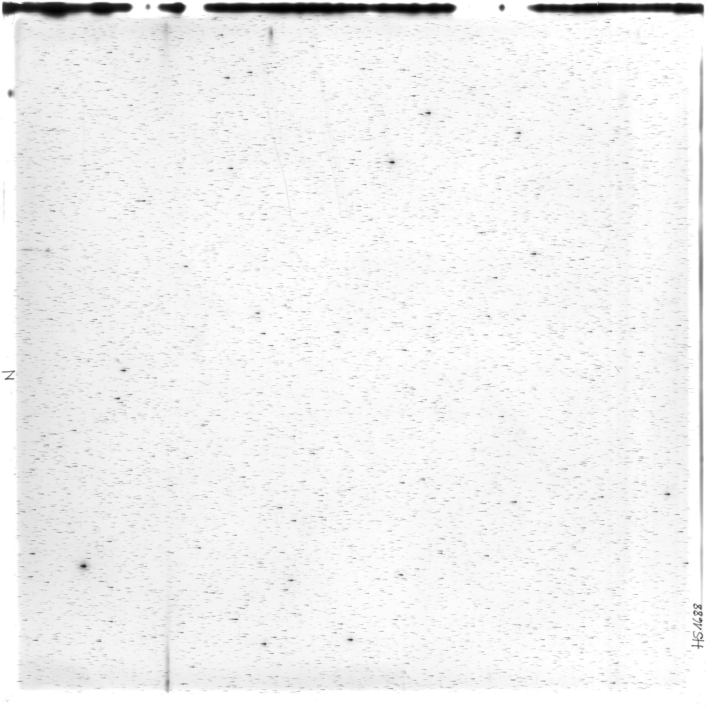 Scan HS01688