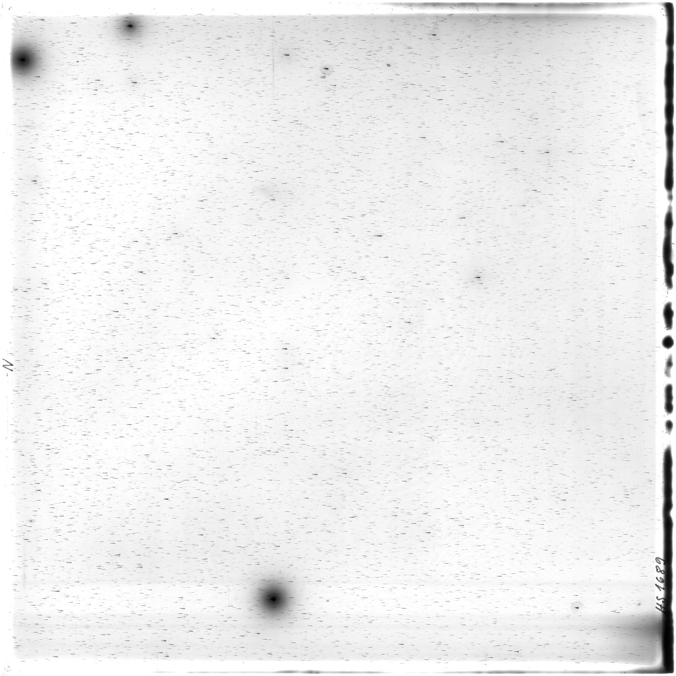 Scan HS01689