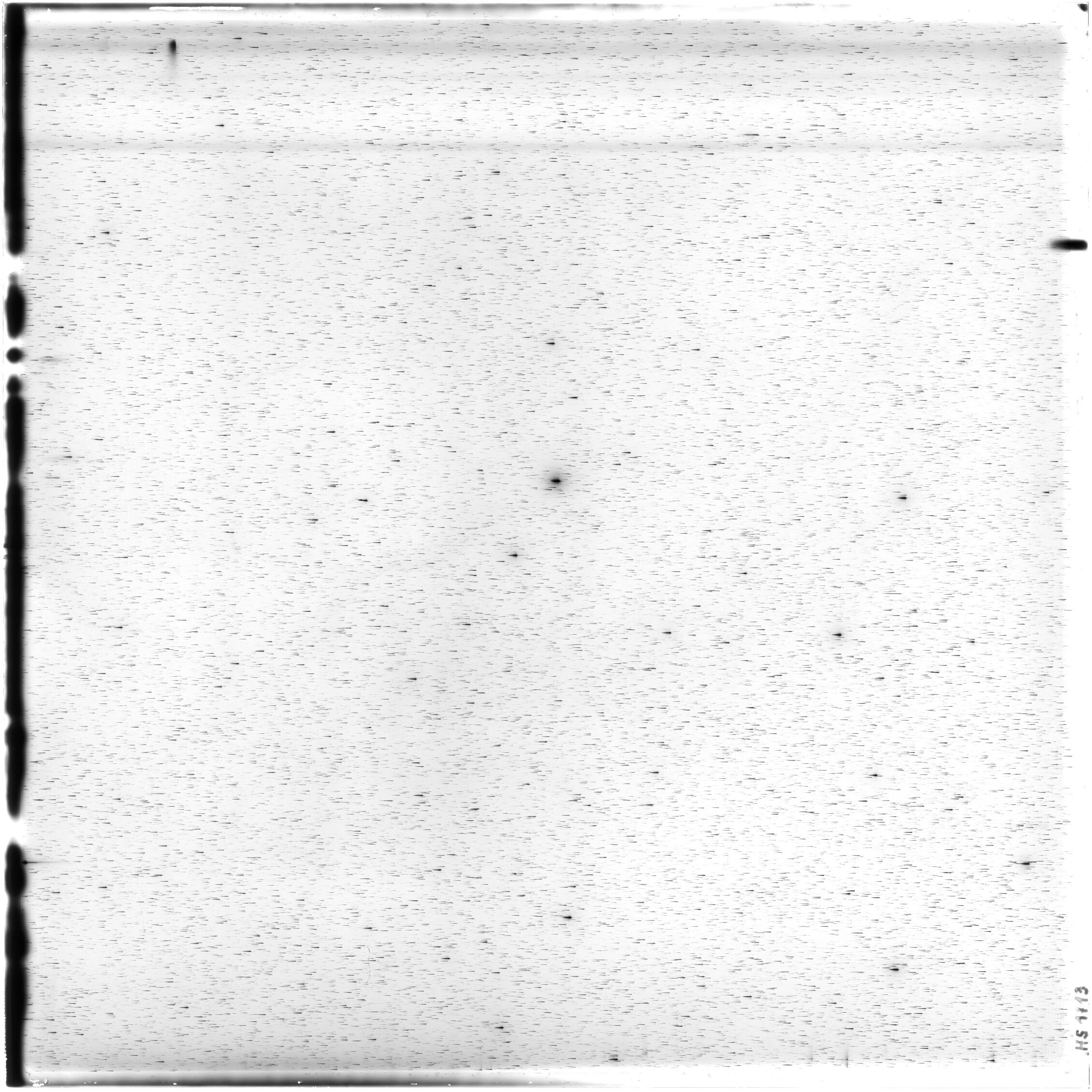 Scan HS01713
