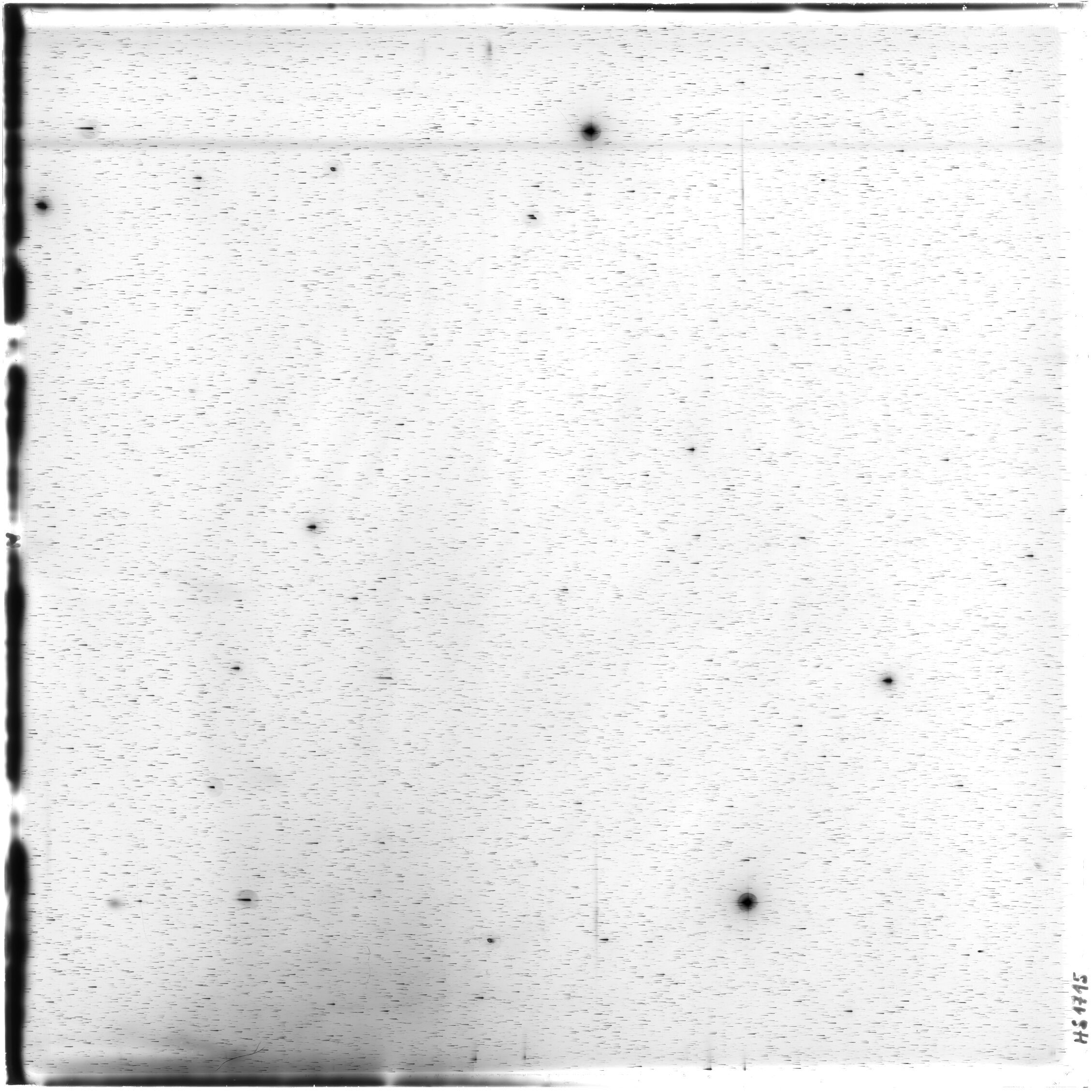 Scan HS01715