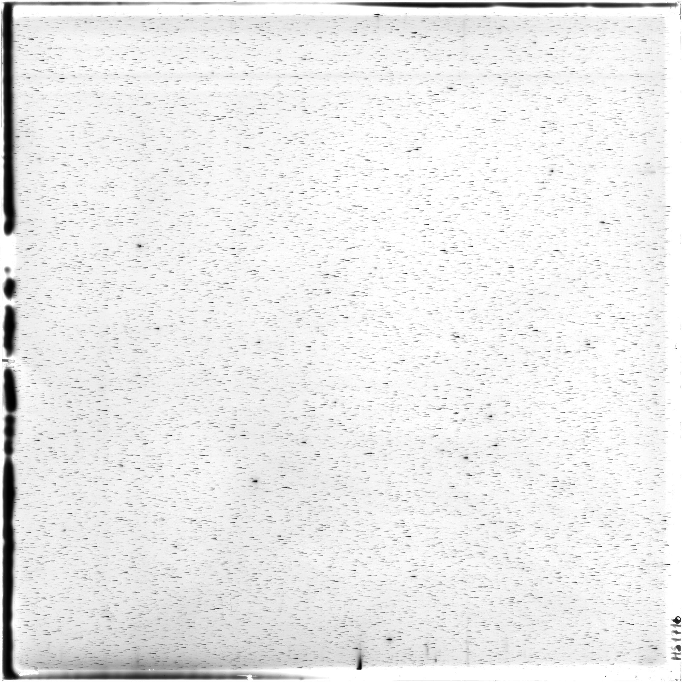 Scan HS01716