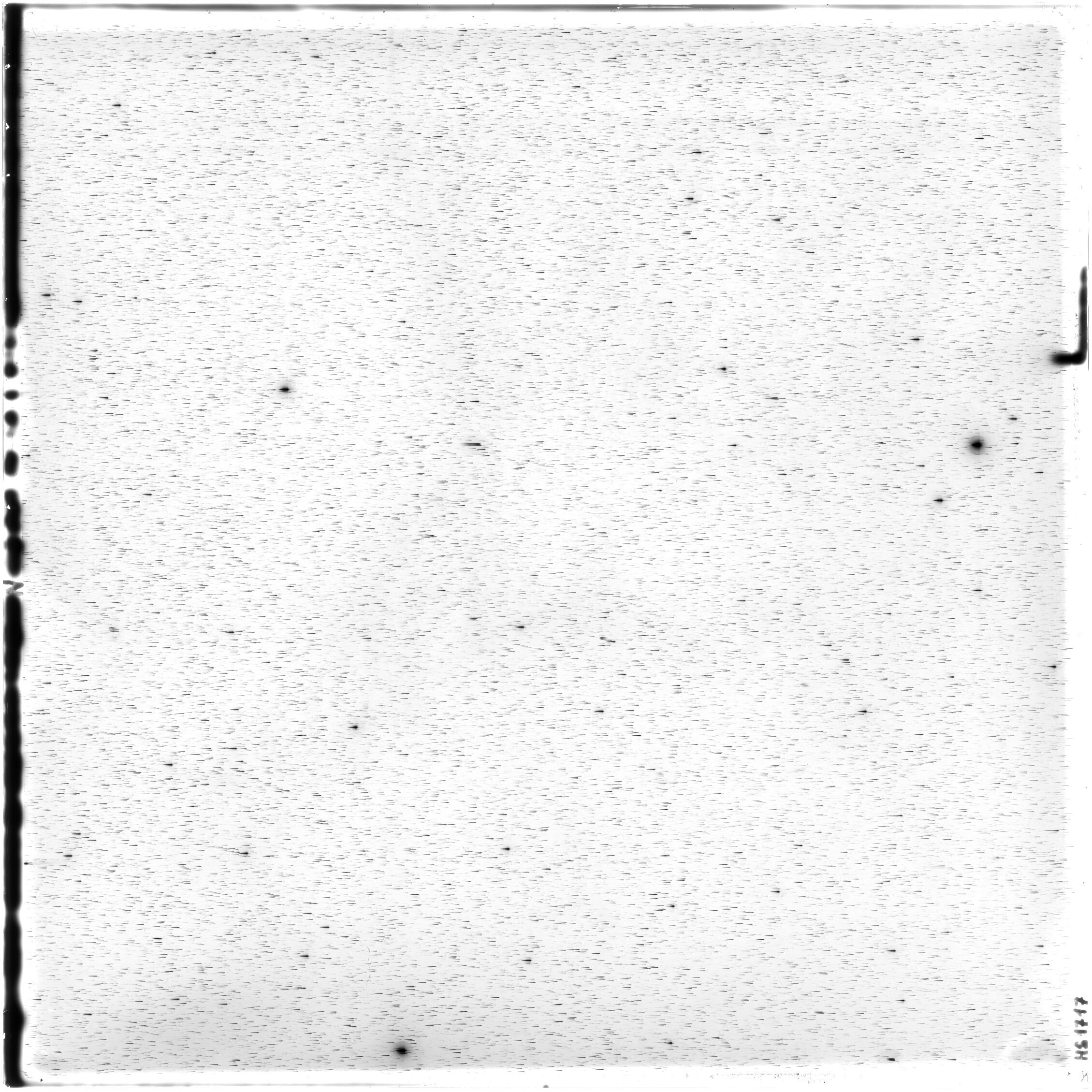 Scan HS01717