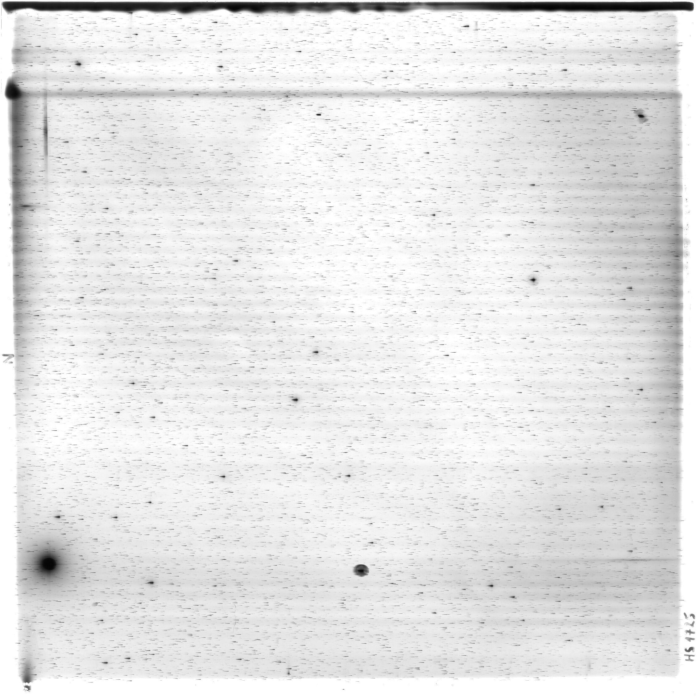Scan HS01725