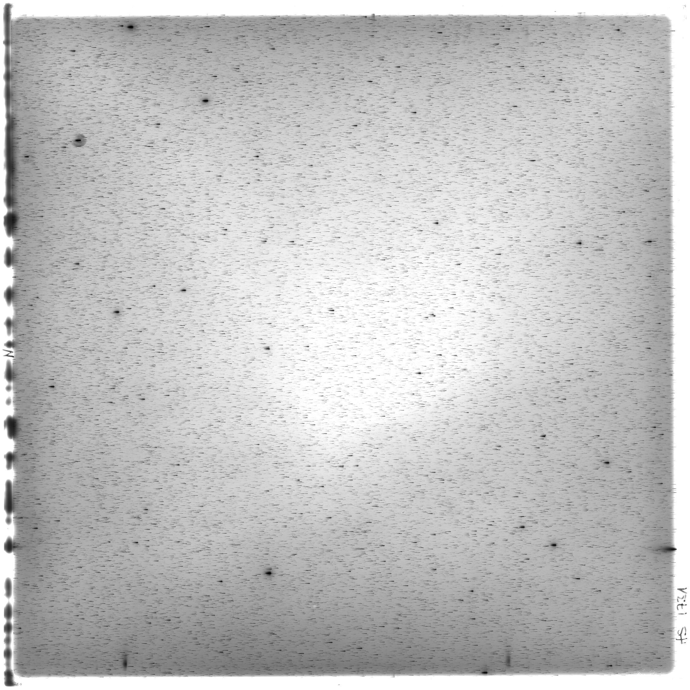 Scan HS01731