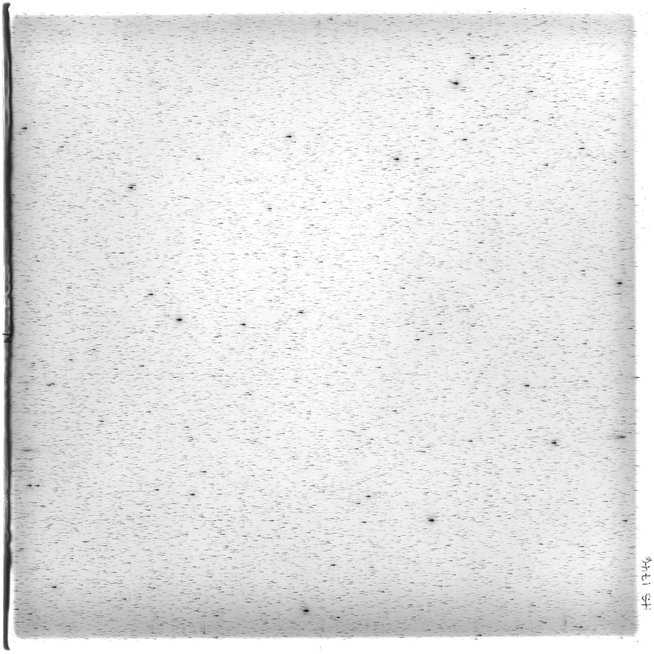 Scan HS01746