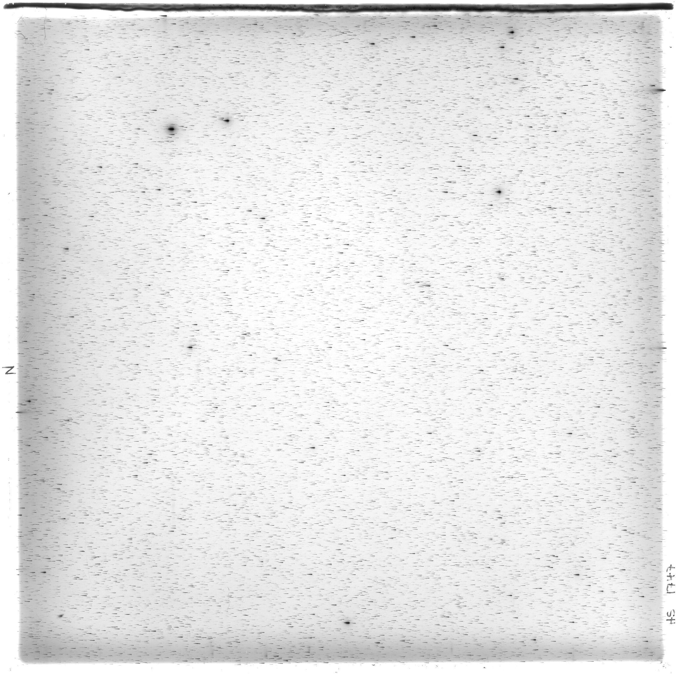 Scan HS01747
