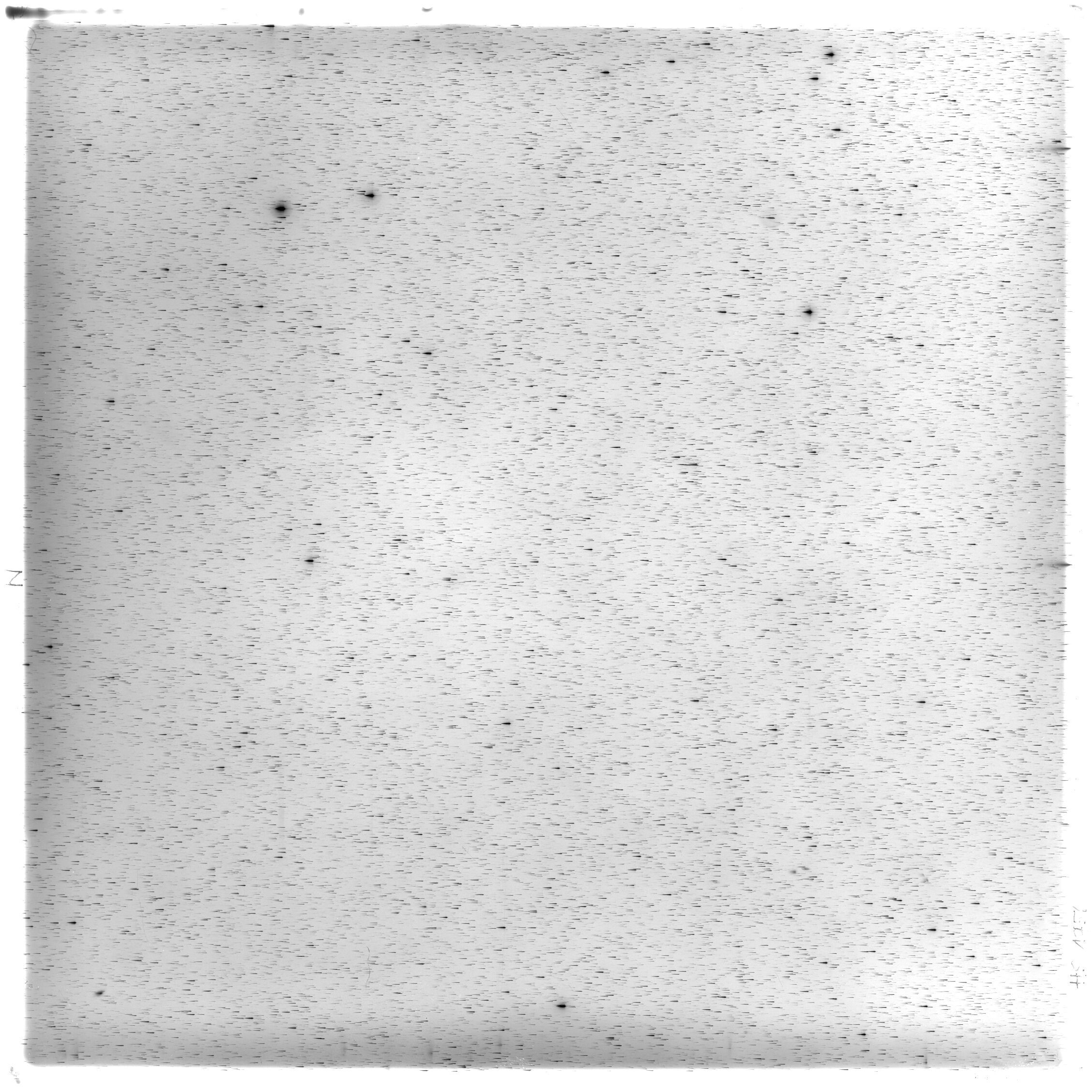 Scan HS01756