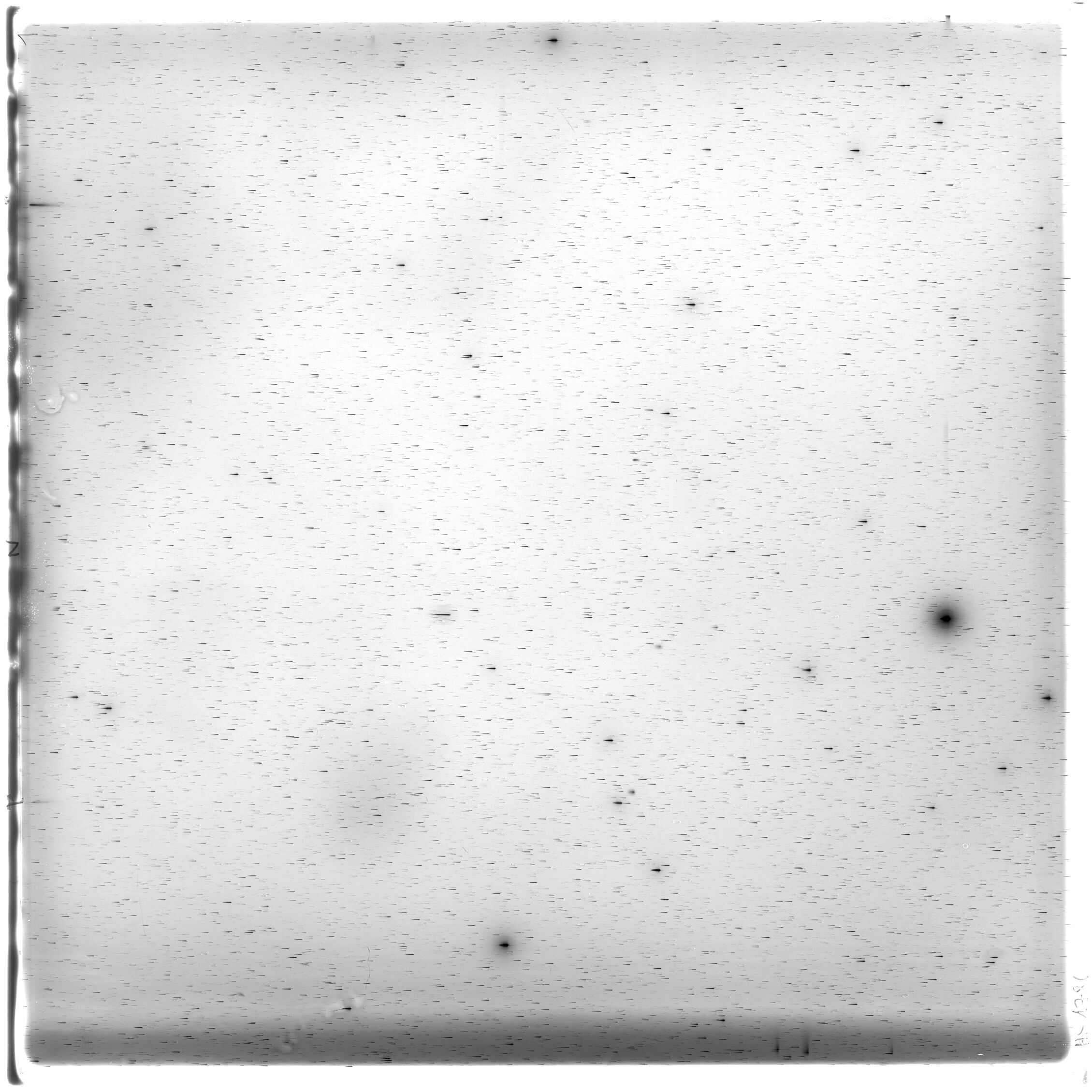 Scan HS01786