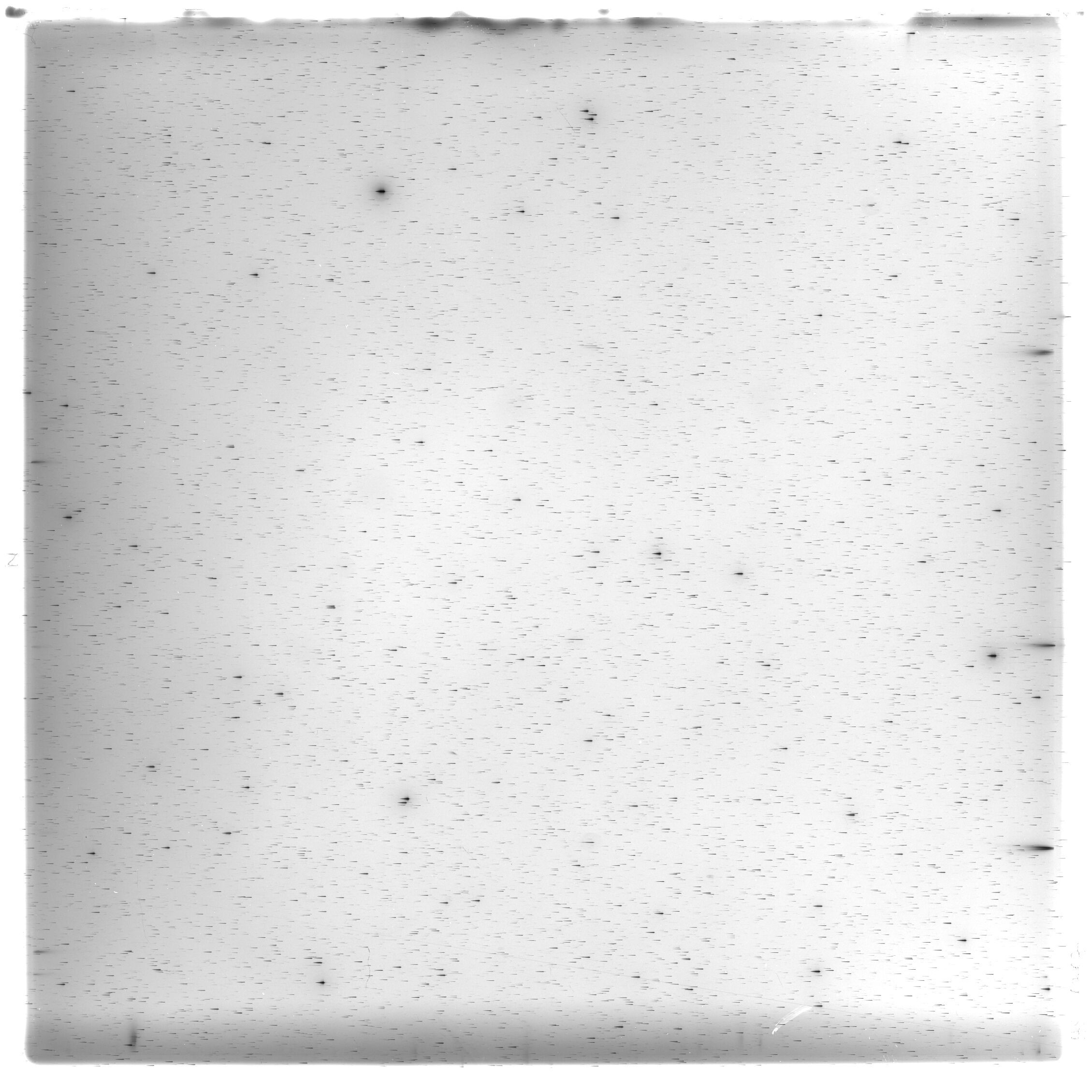 Scan HS01787