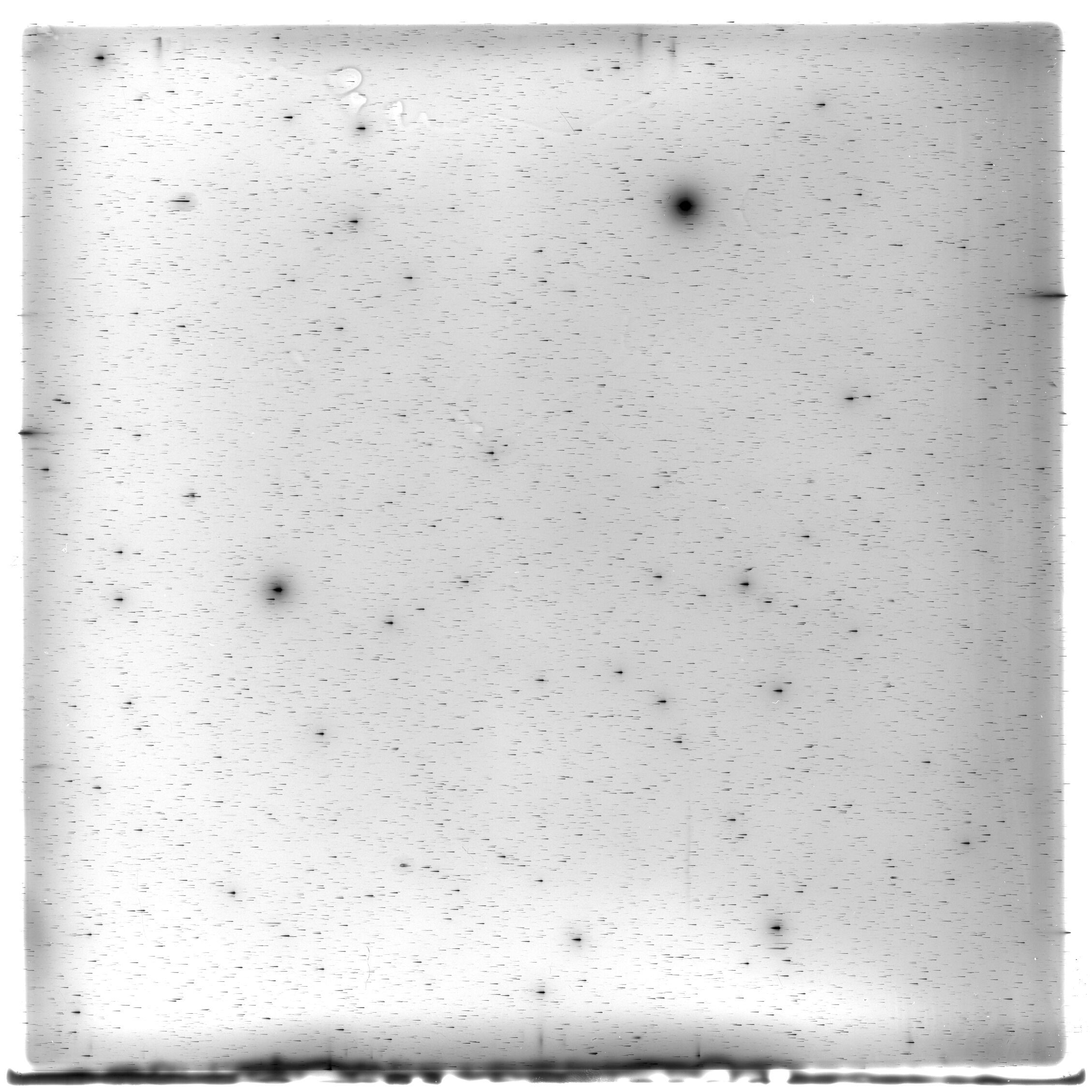 Scan HS01798