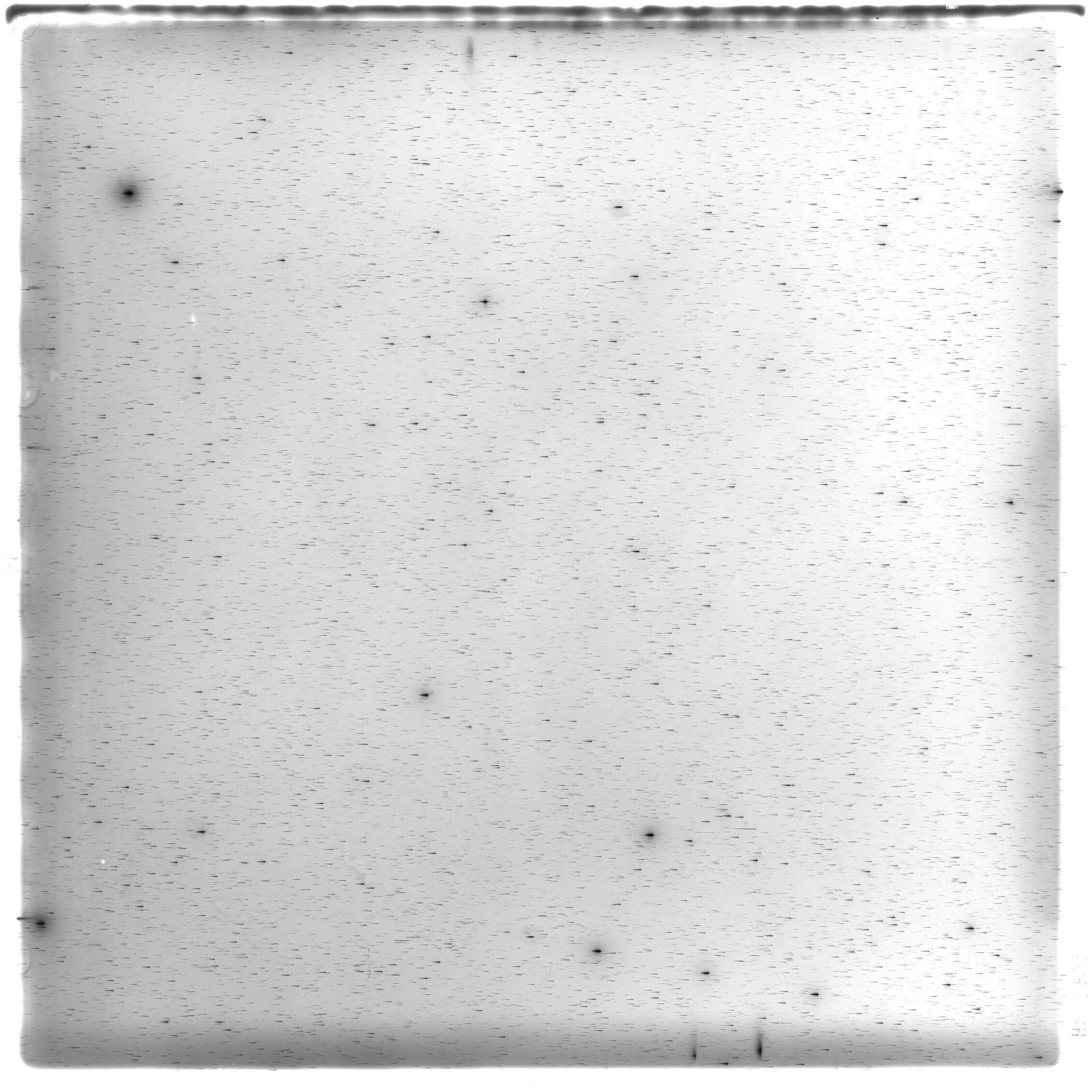 Scan HS01799