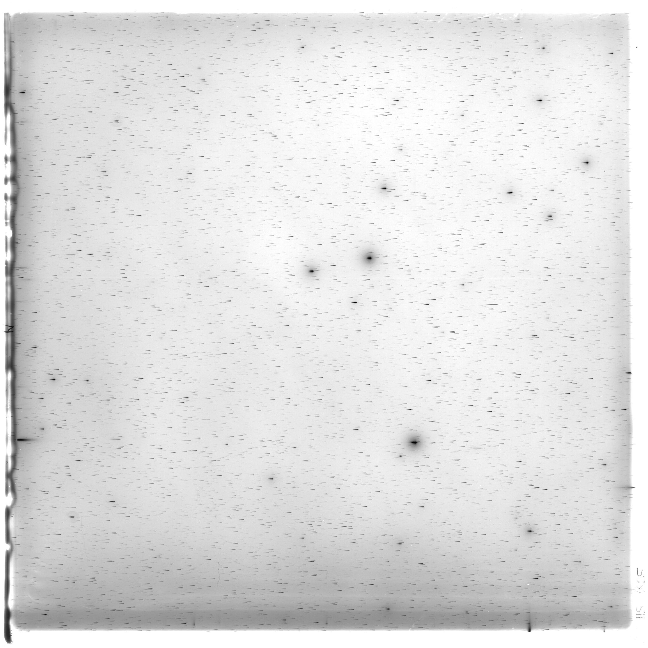 Scan HS01805