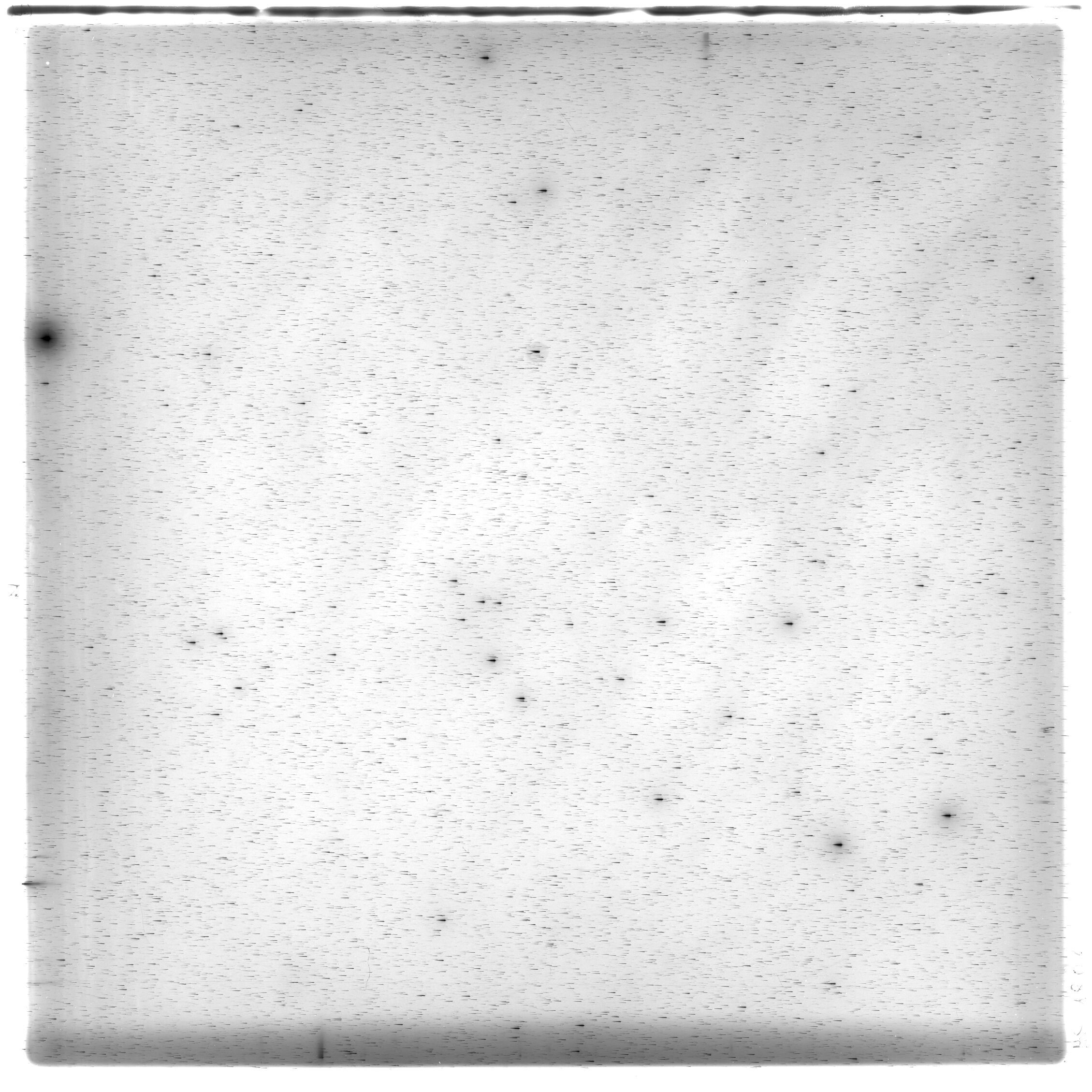 Scan HS01806