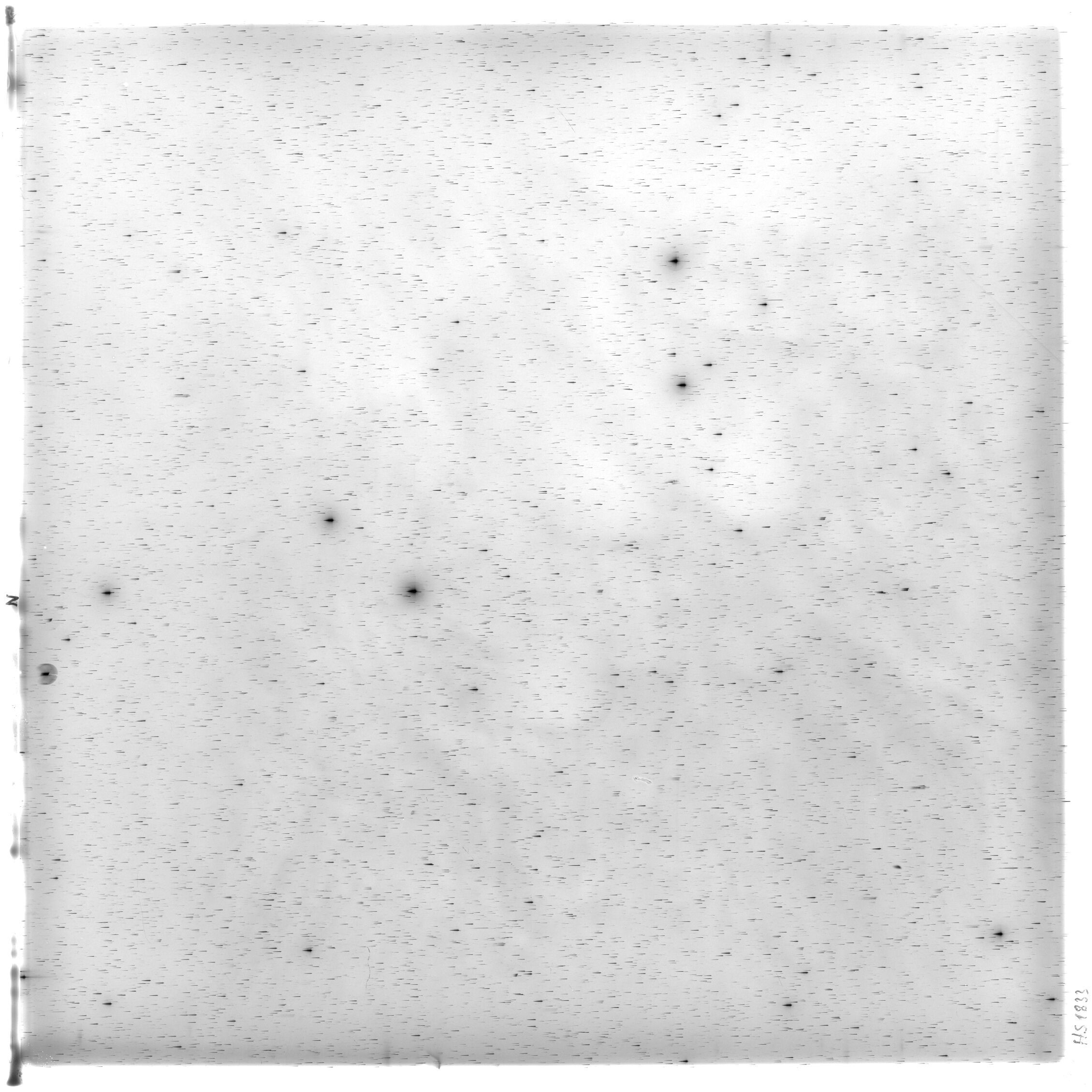 Scan HS01833