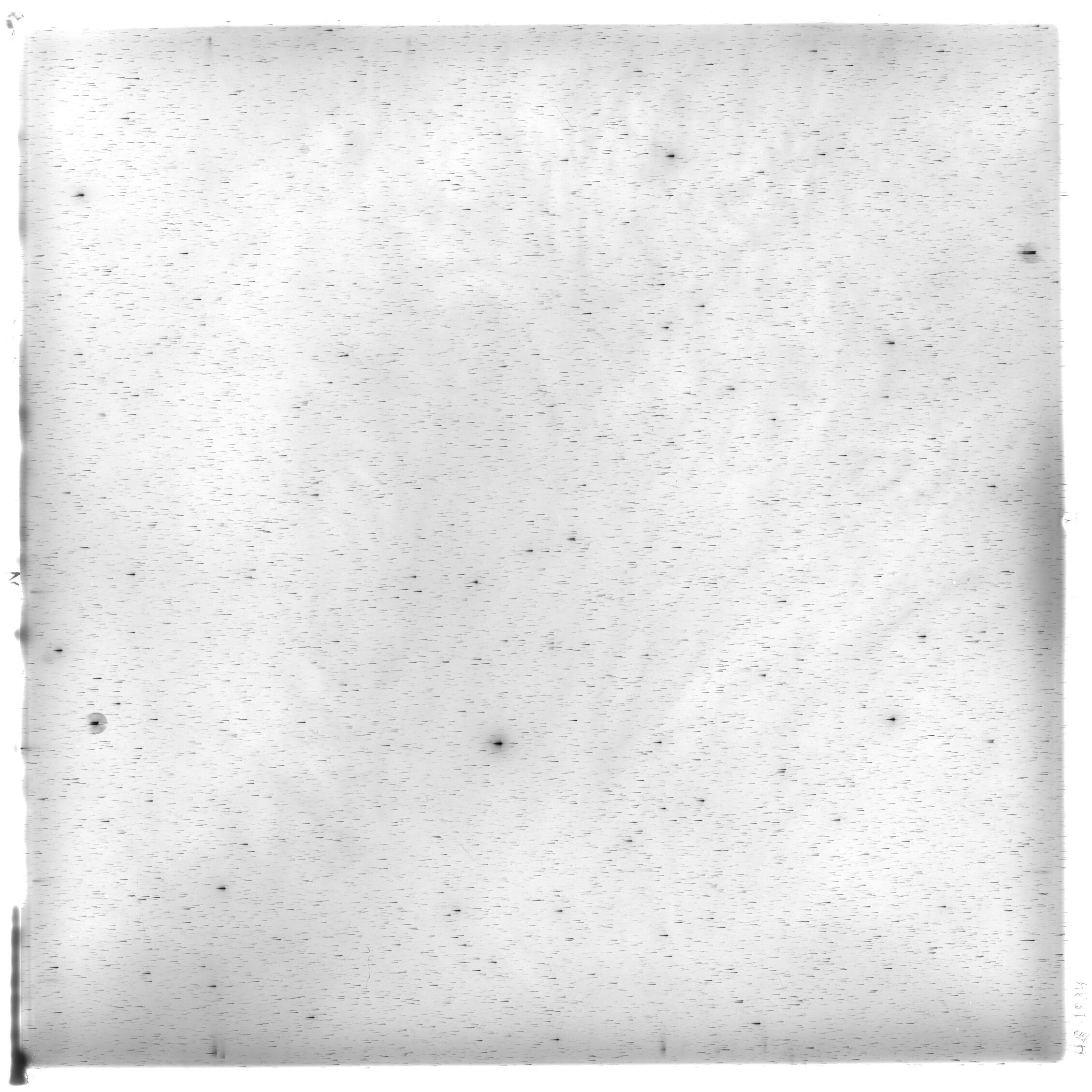 Scan HS01834