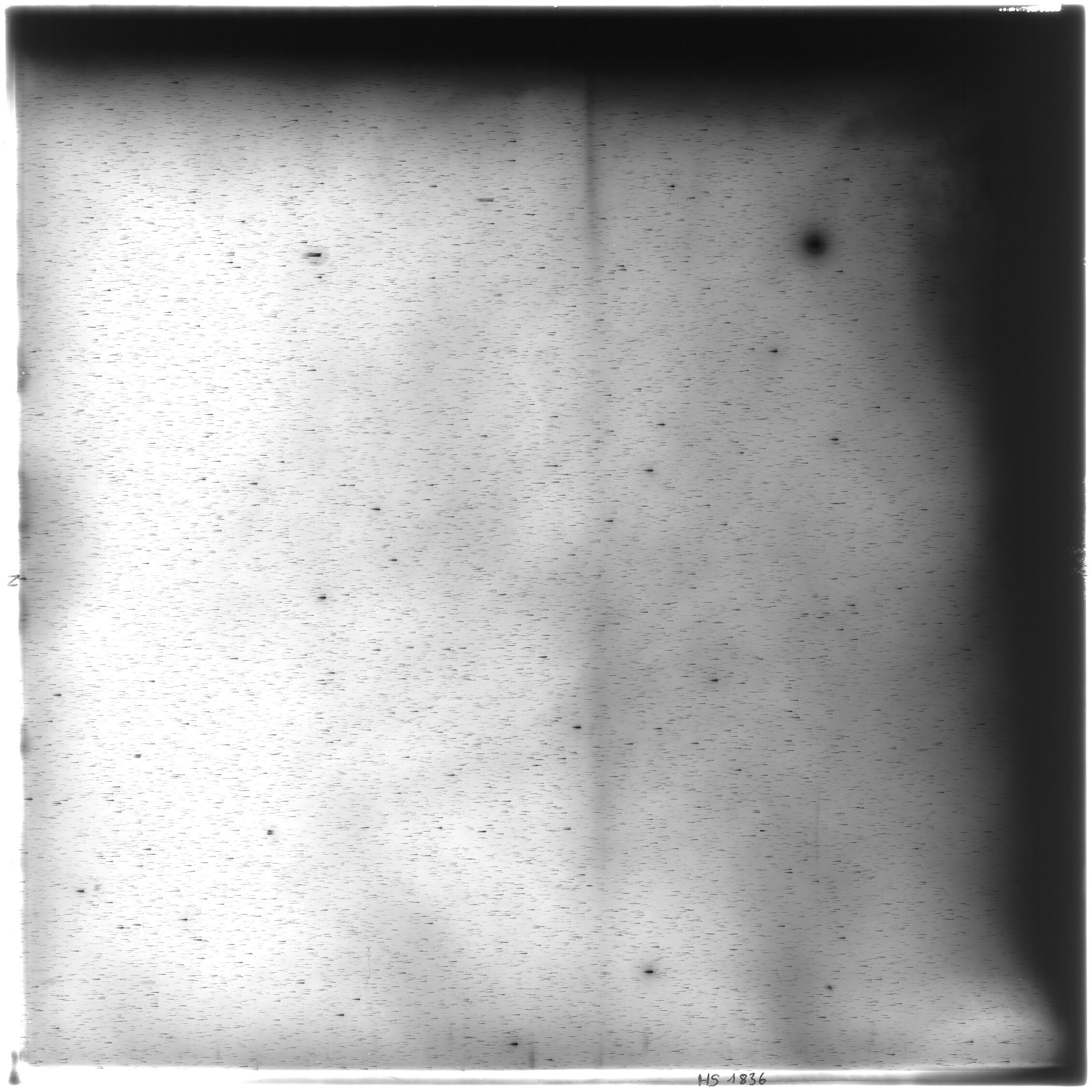 Scan HS01836
