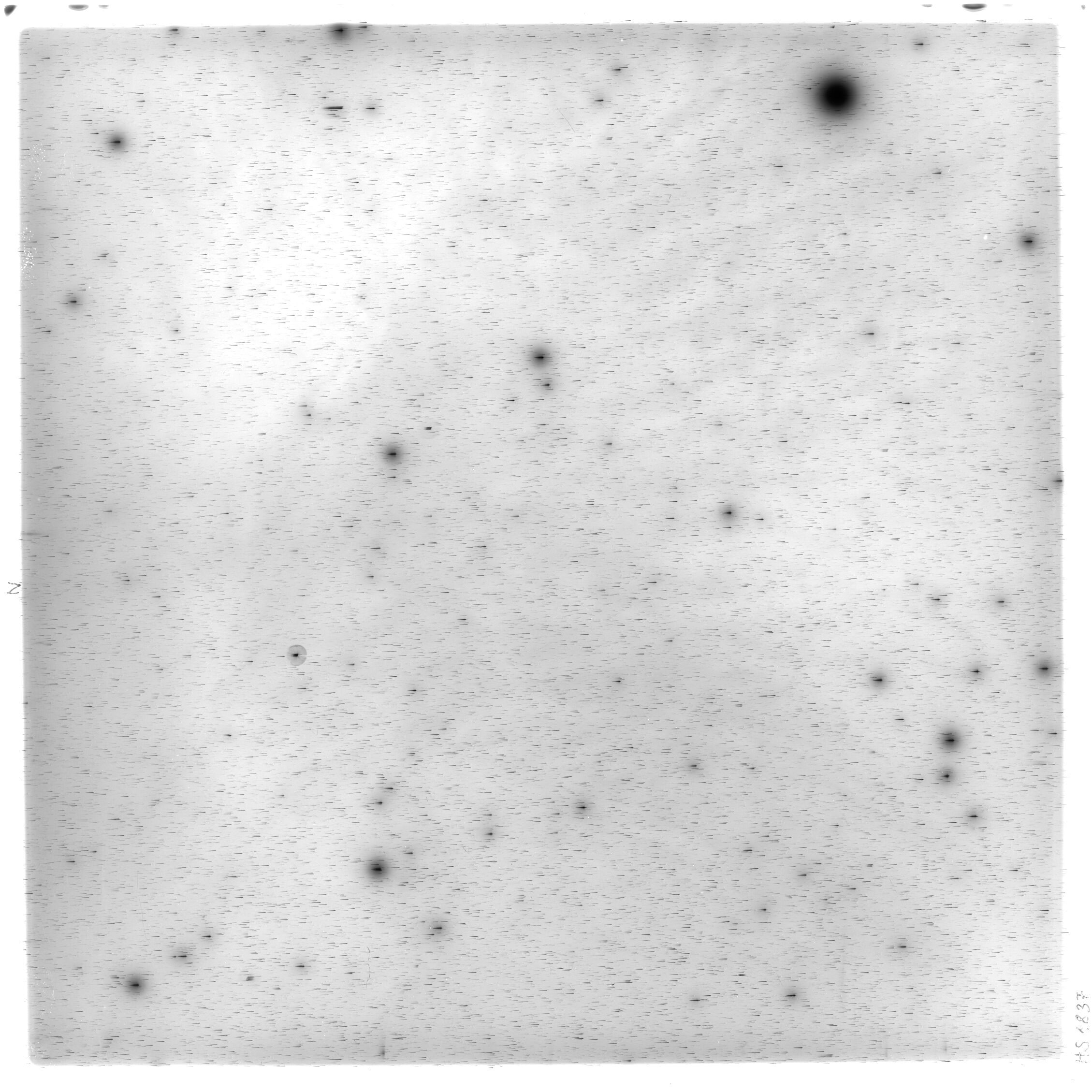 Scan HS01837
