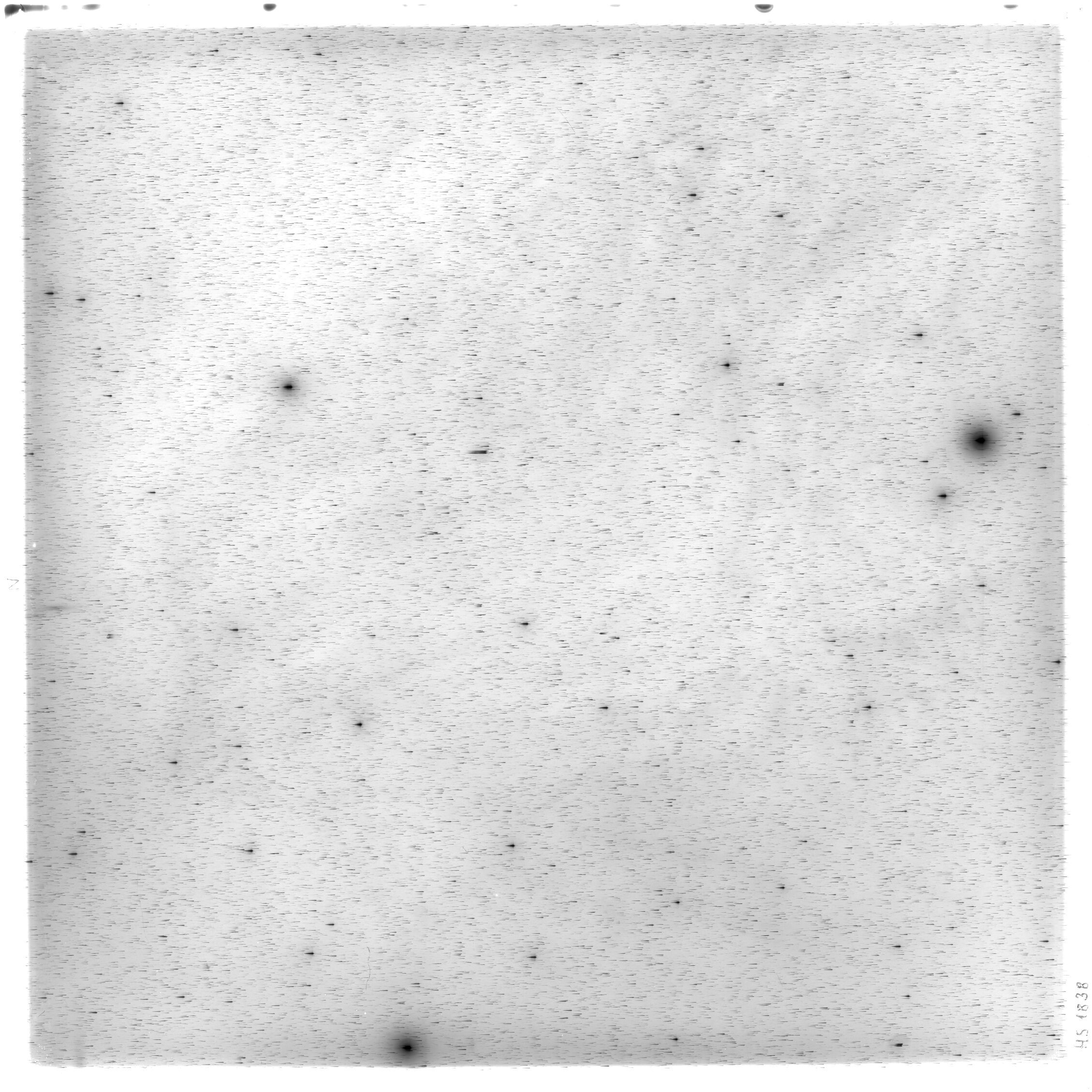 Scan HS01838