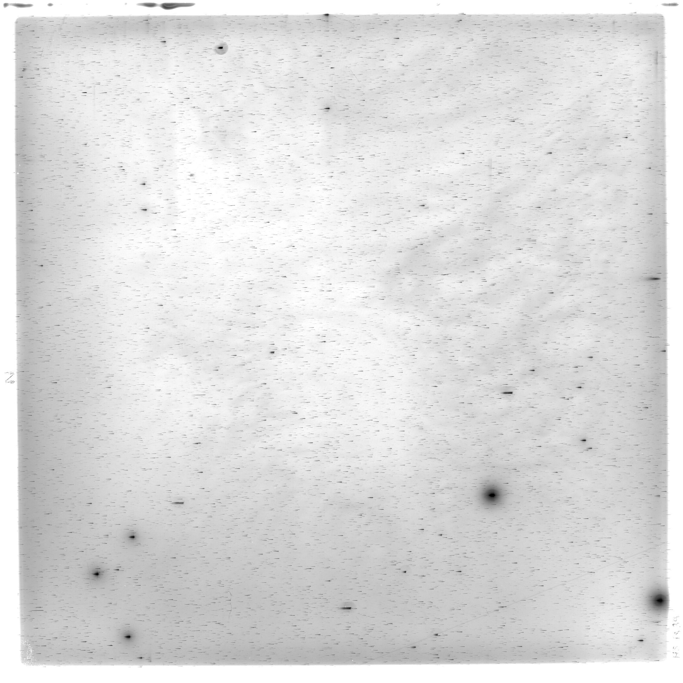 Scan HS01839