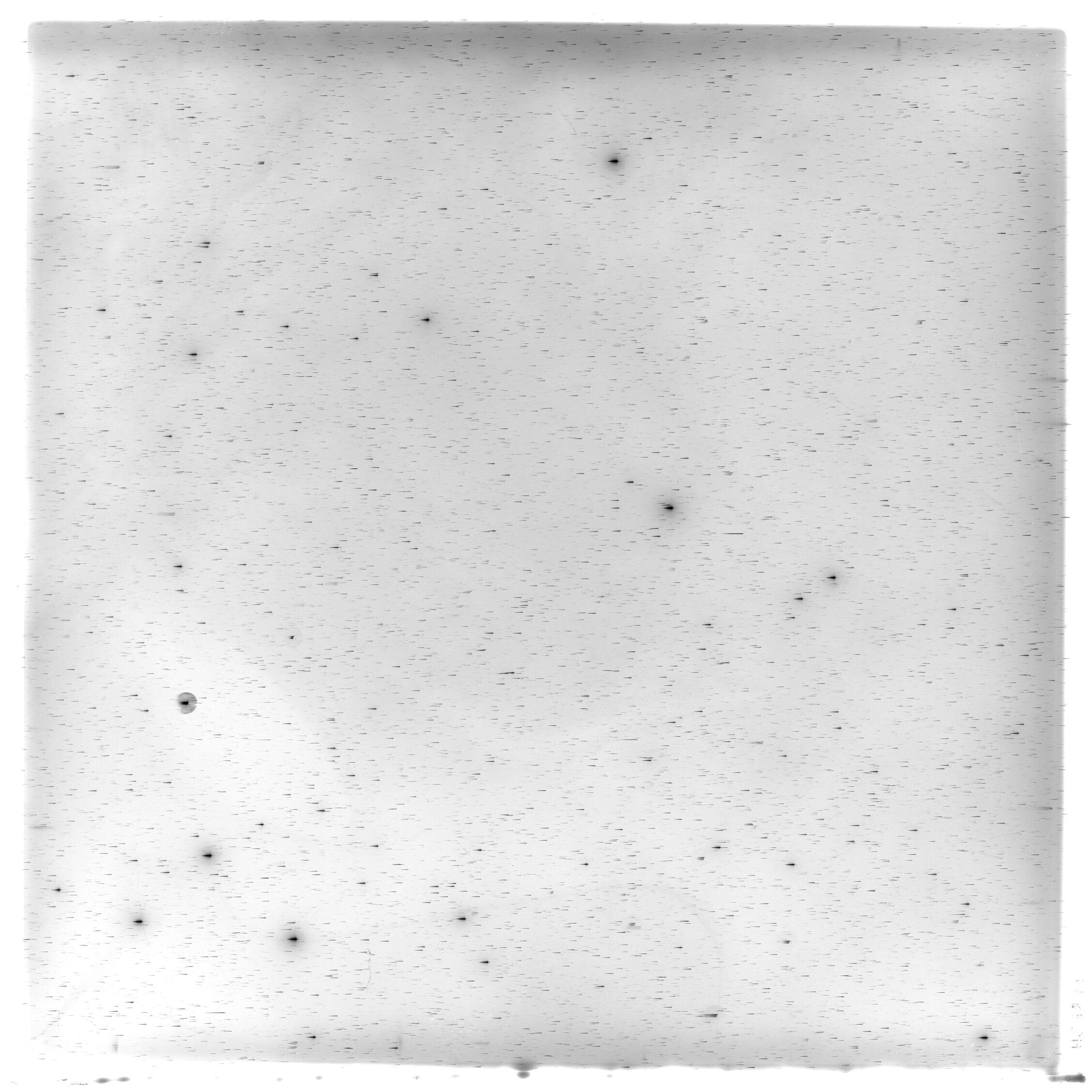 Scan HS01841