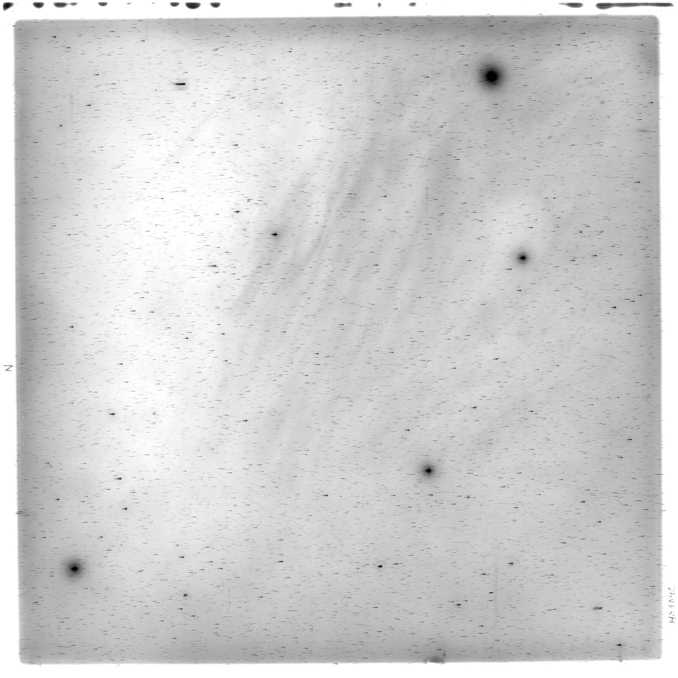 Scan HS01842