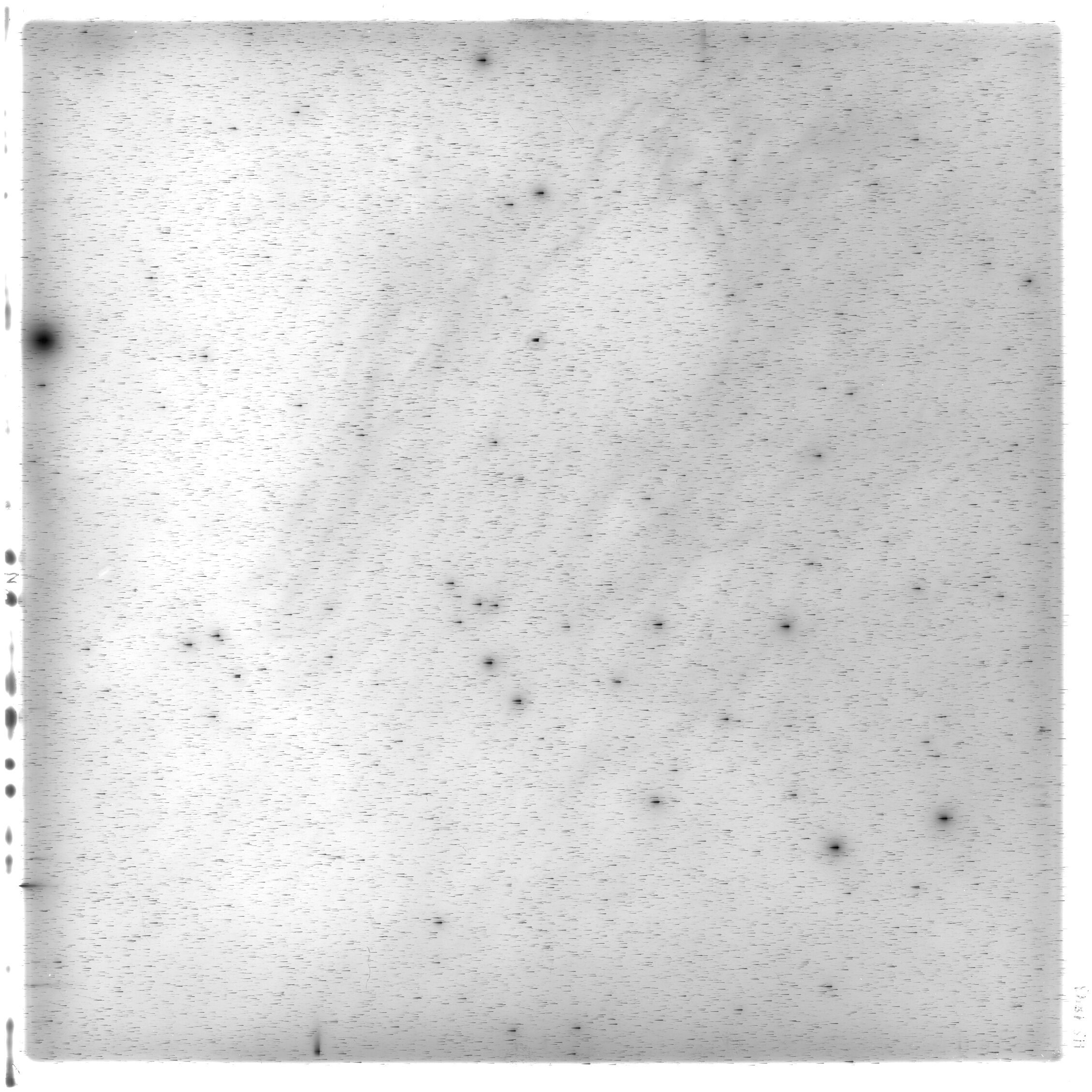 Scan HS01843