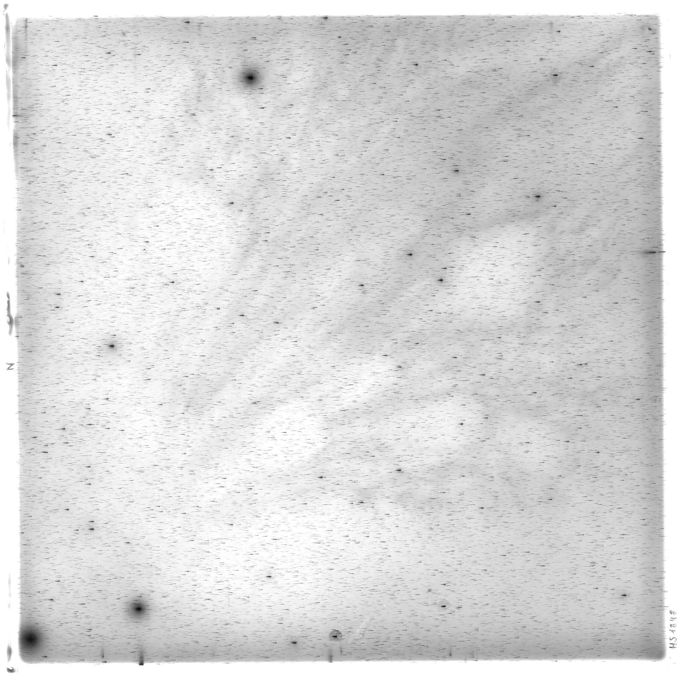 Scan HS01848