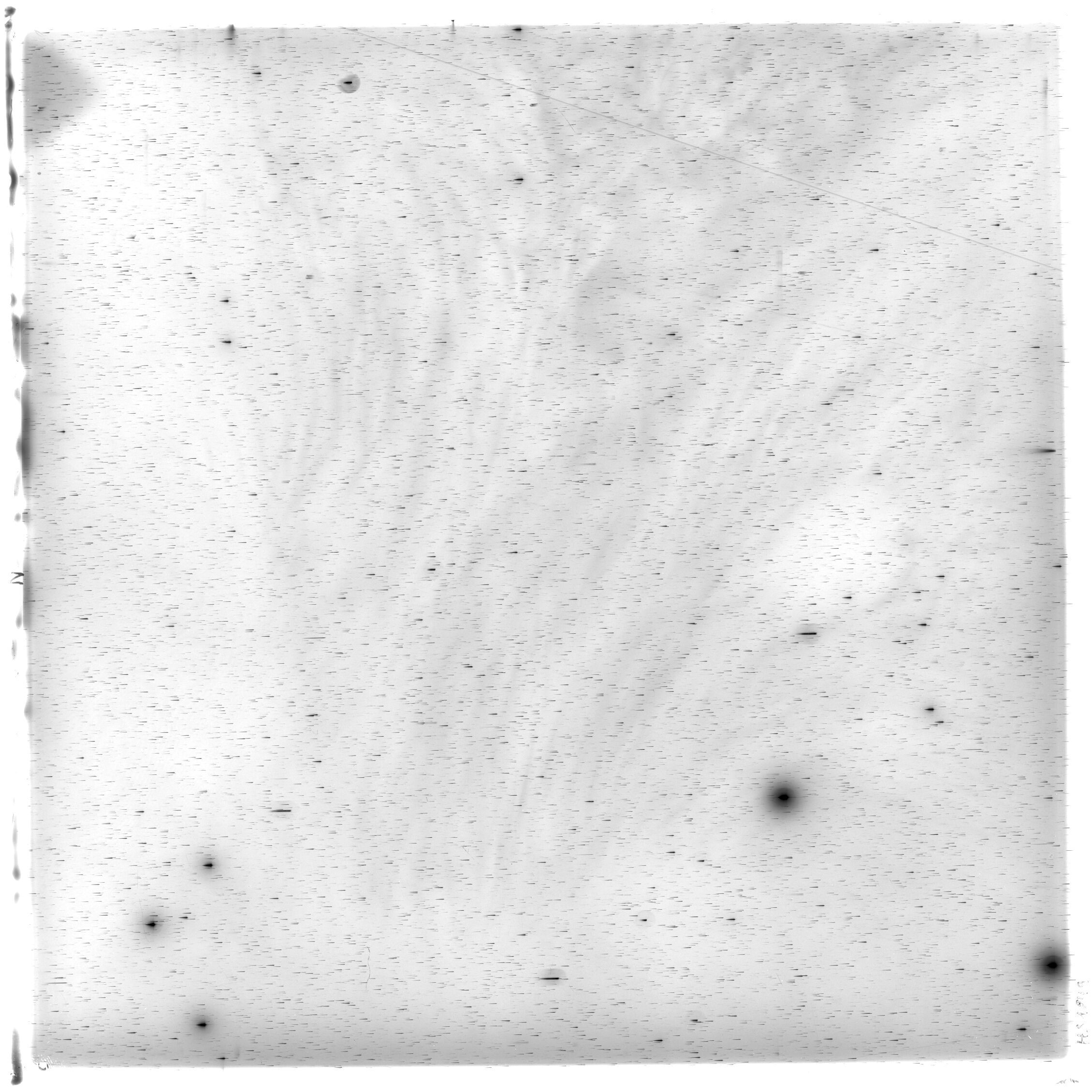 Scan HS01849