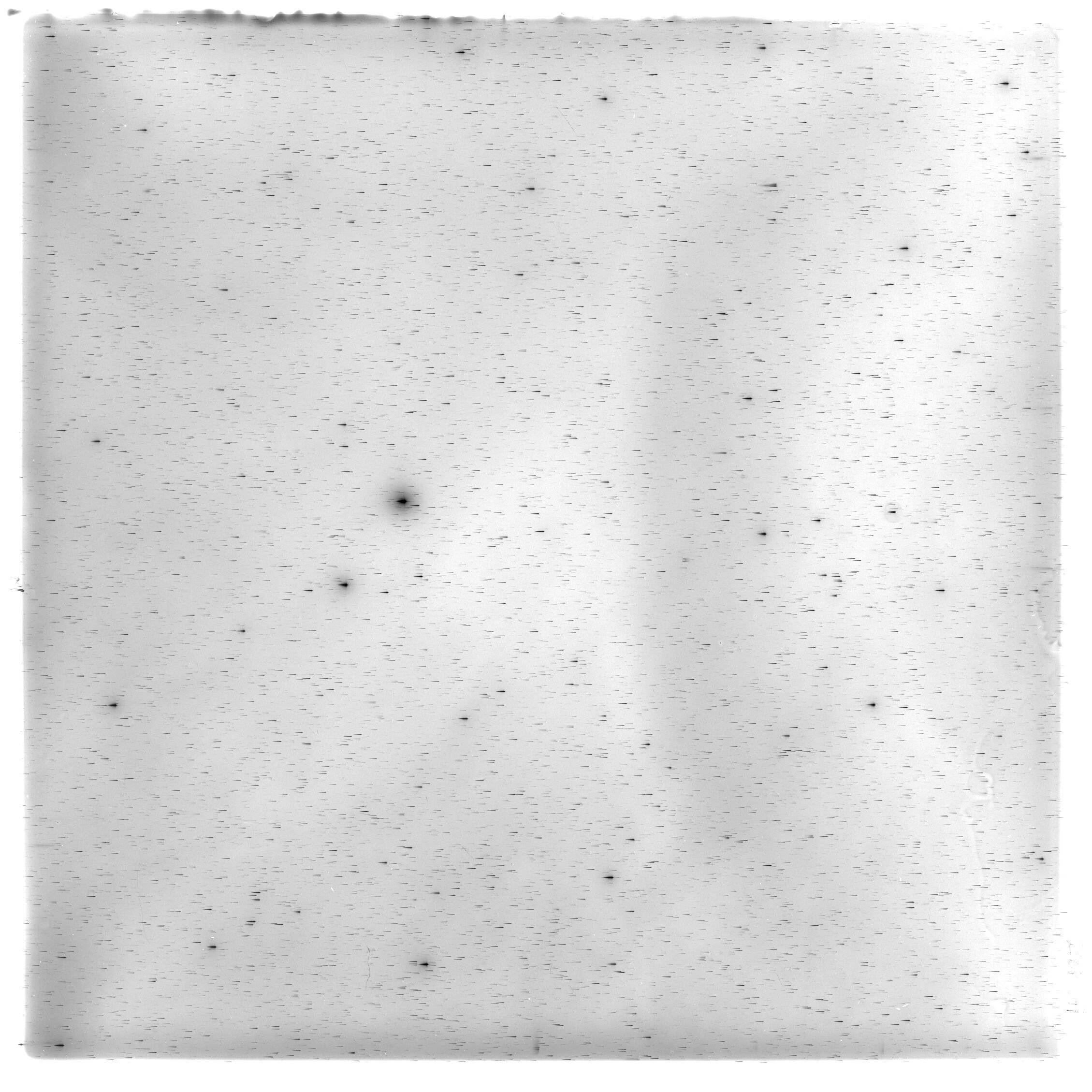 Scan HS01856