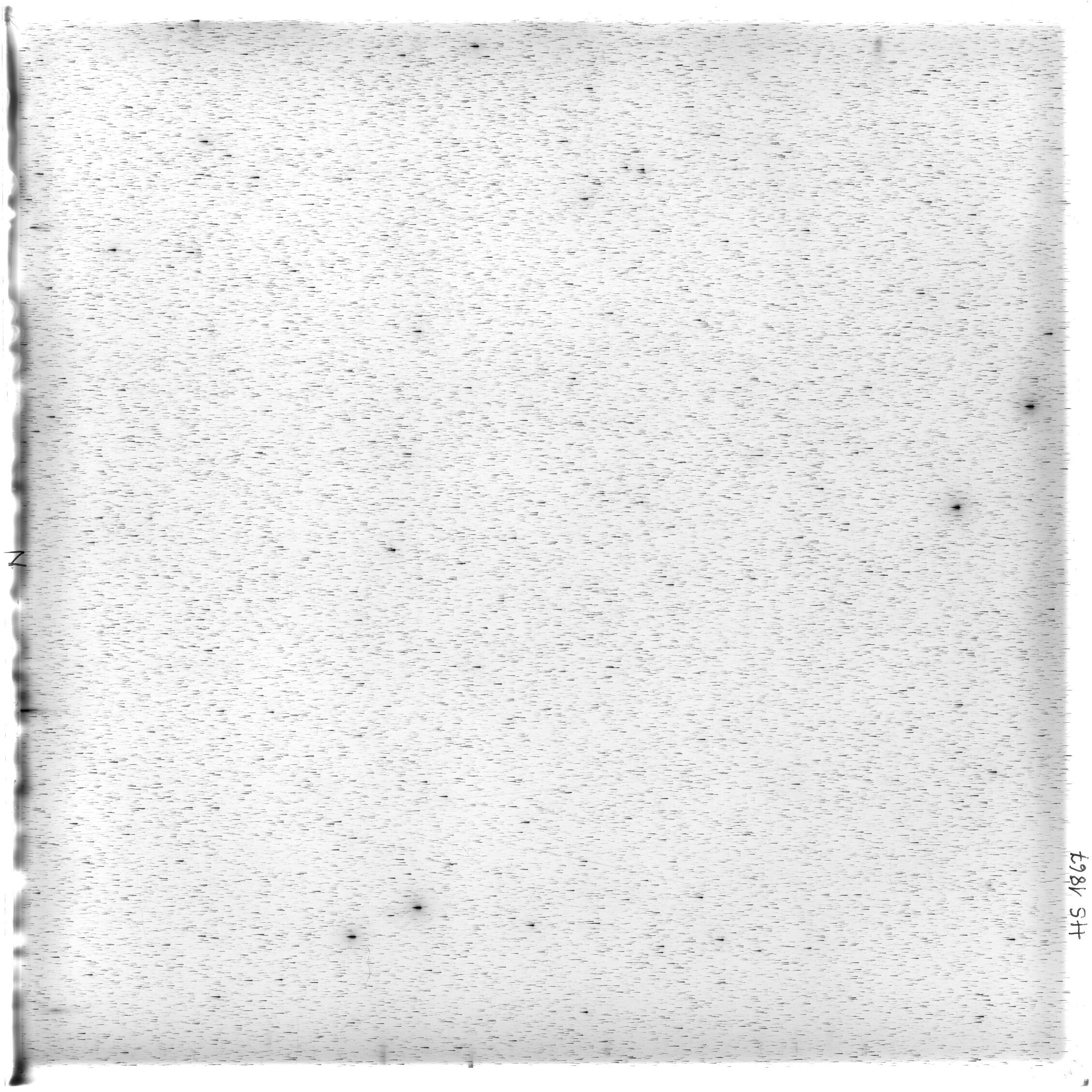 Scan HS01867