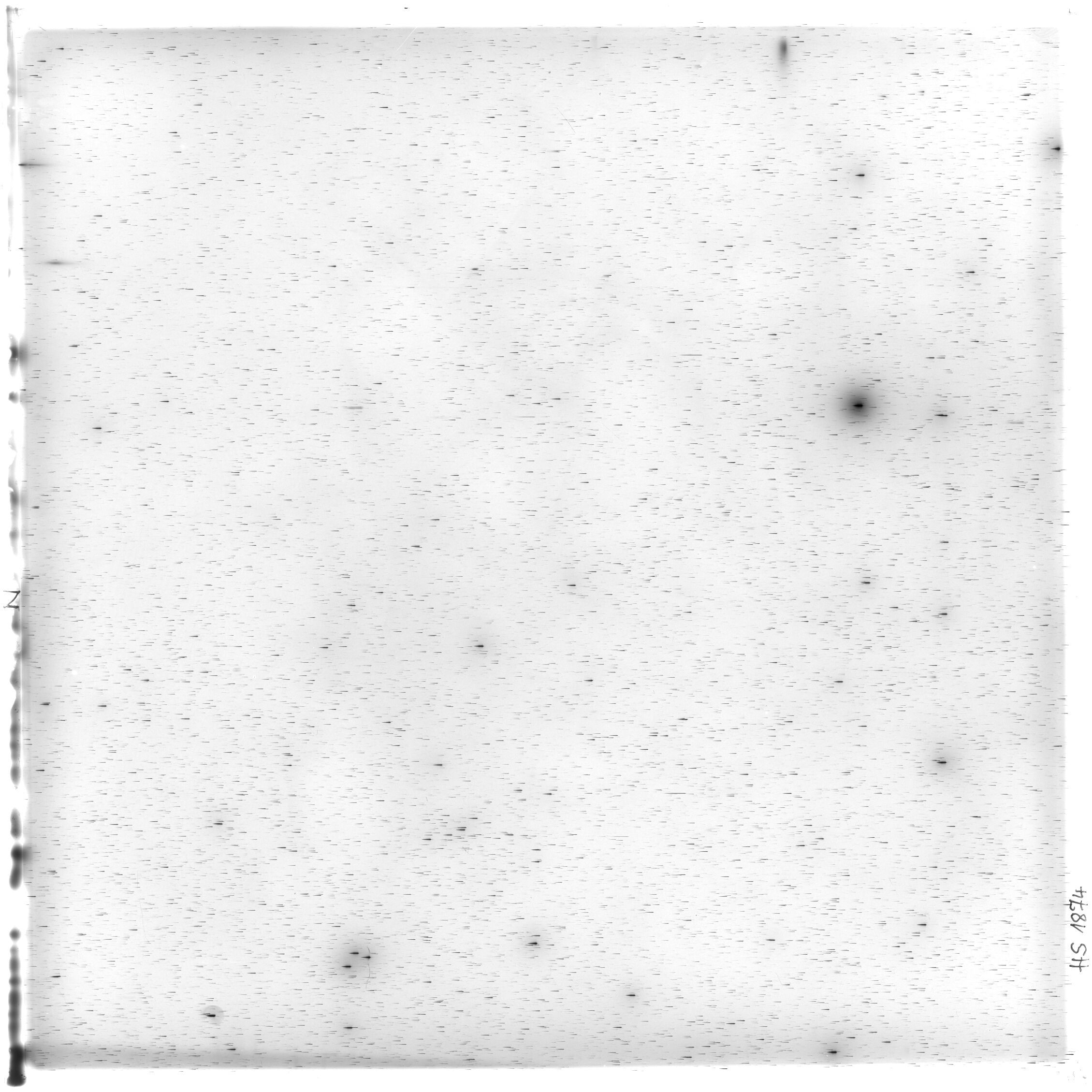 Scan HS01874