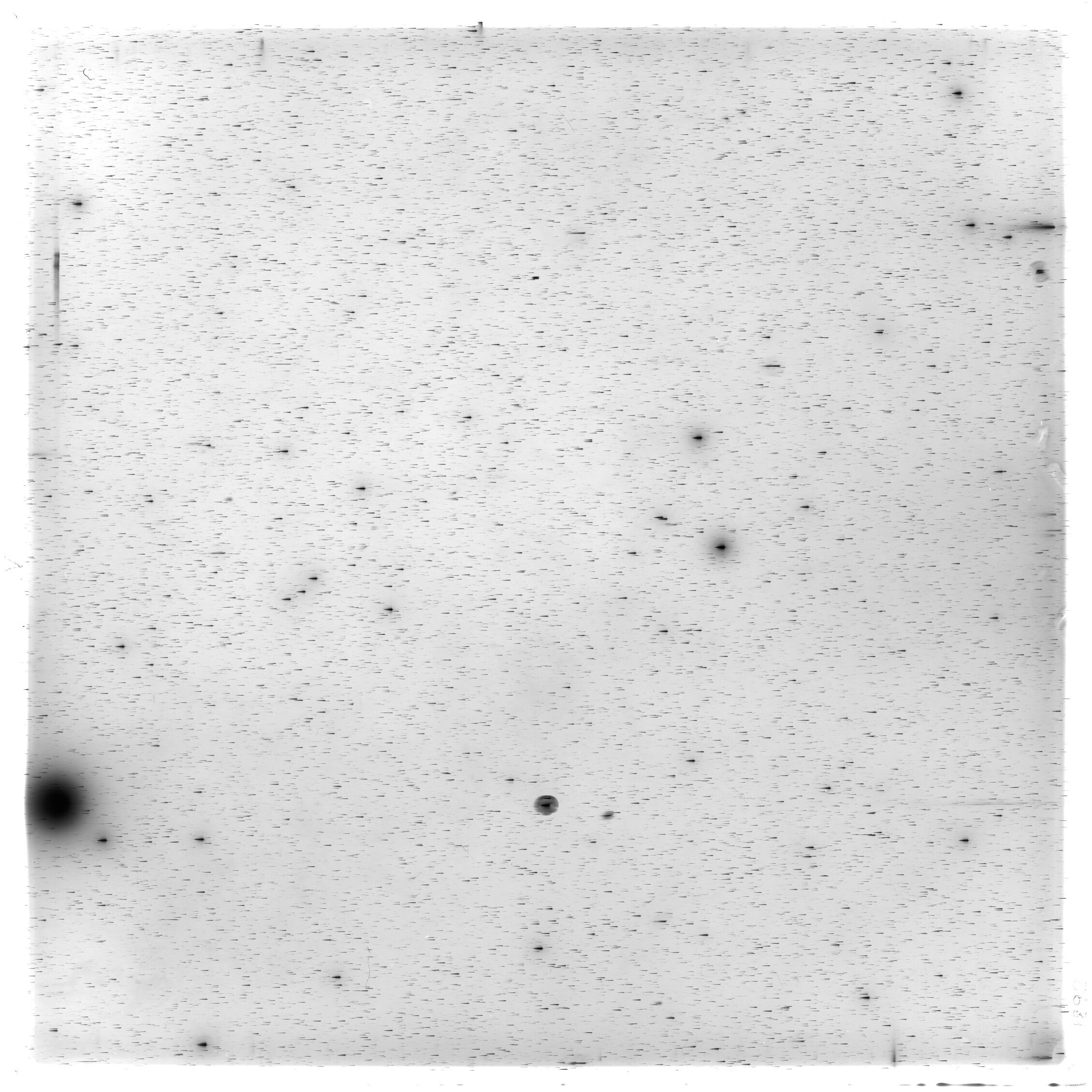 Scan HS01892