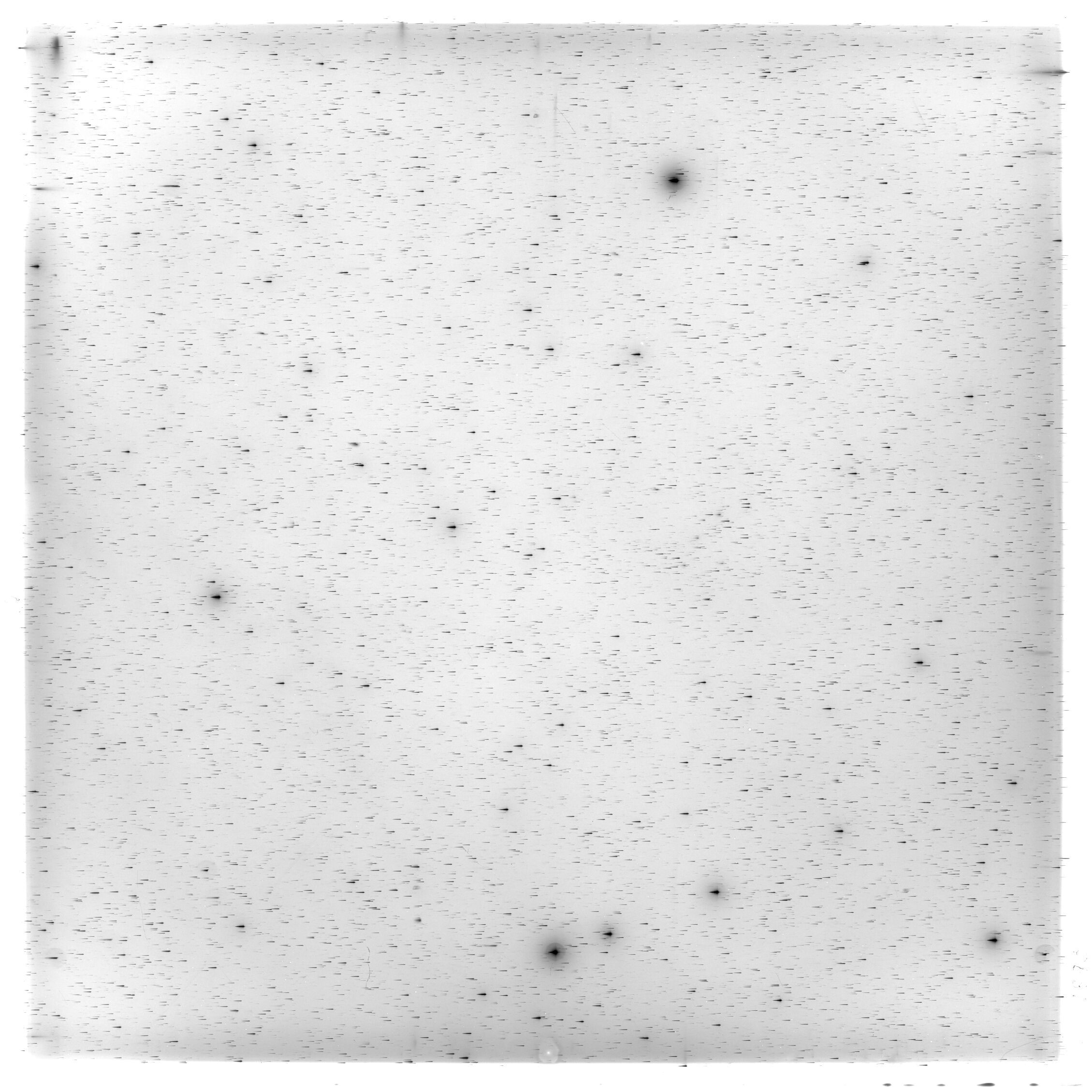 Scan HS01893