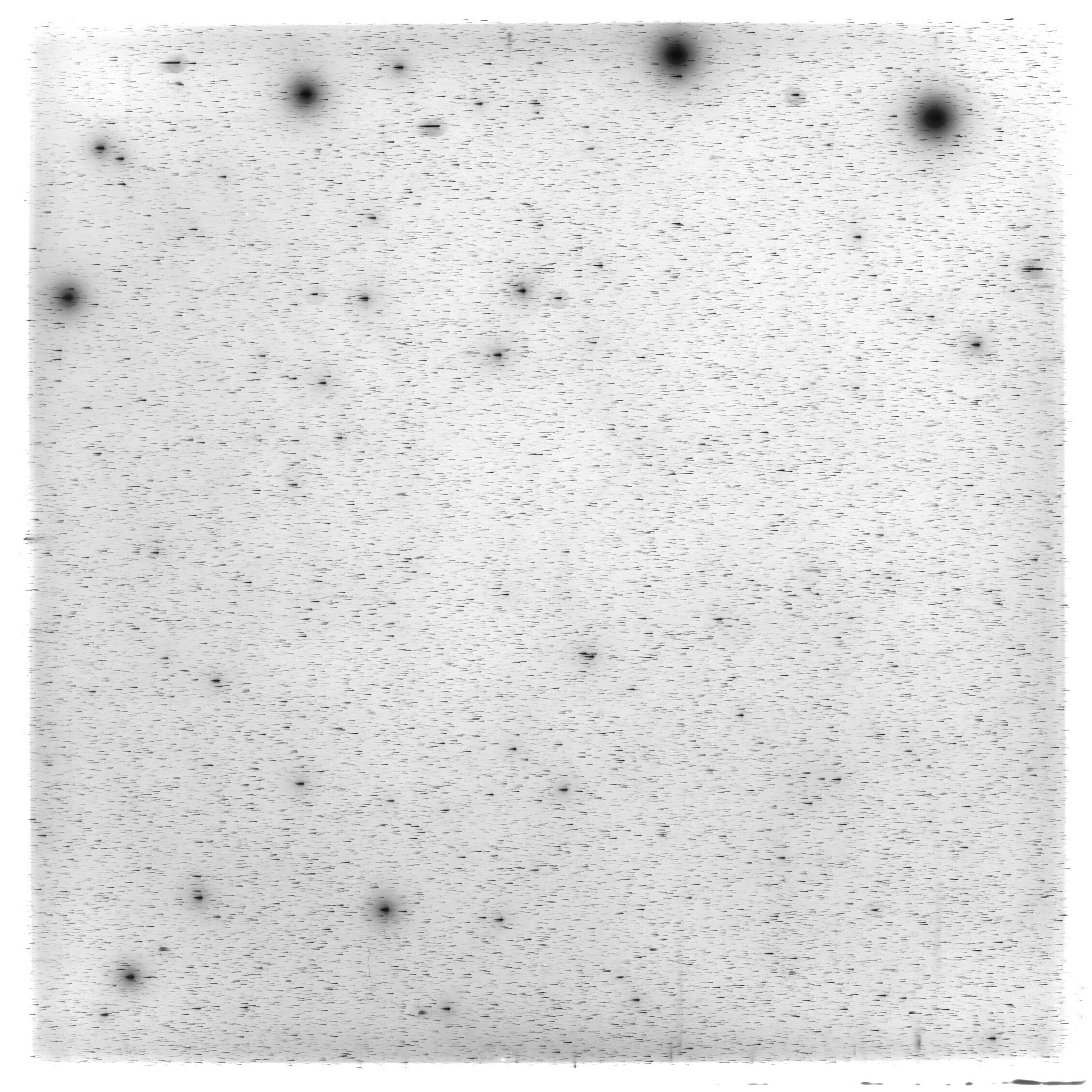 Scan HS01894