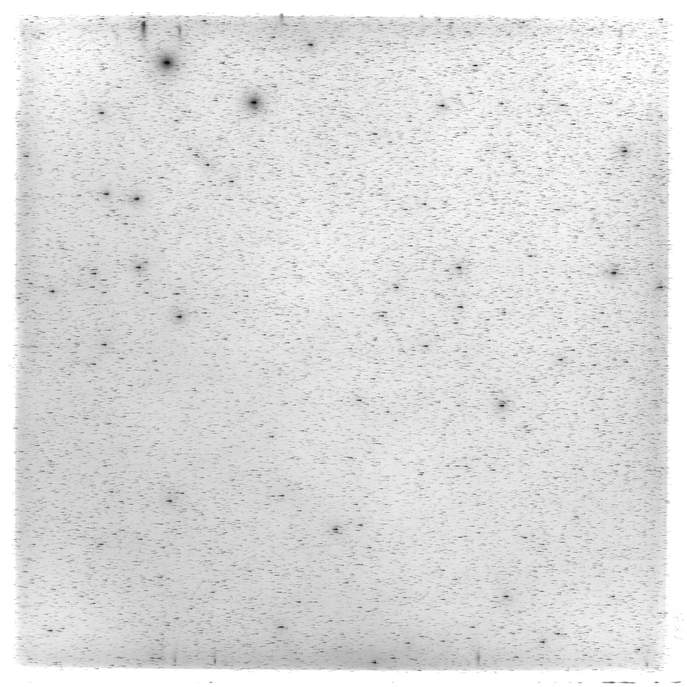 Scan HS01895