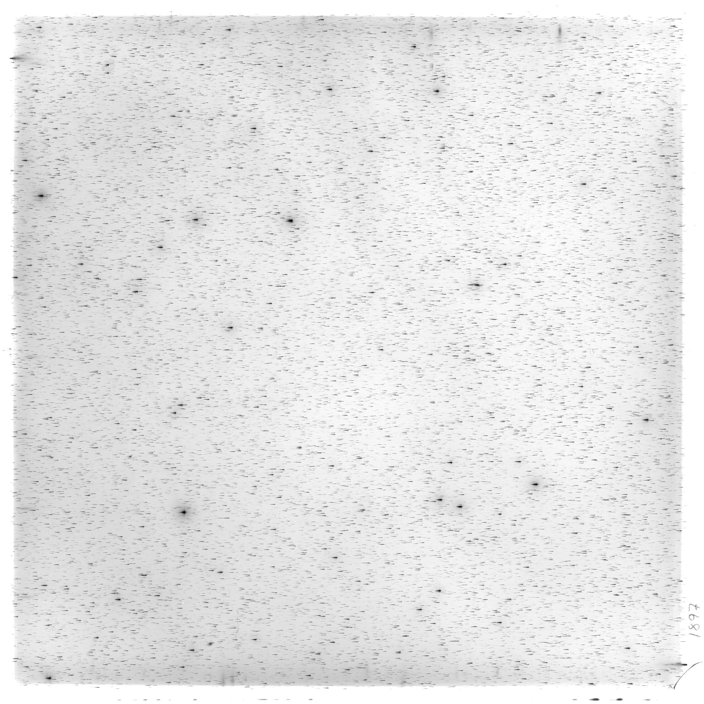 Scan HS01897