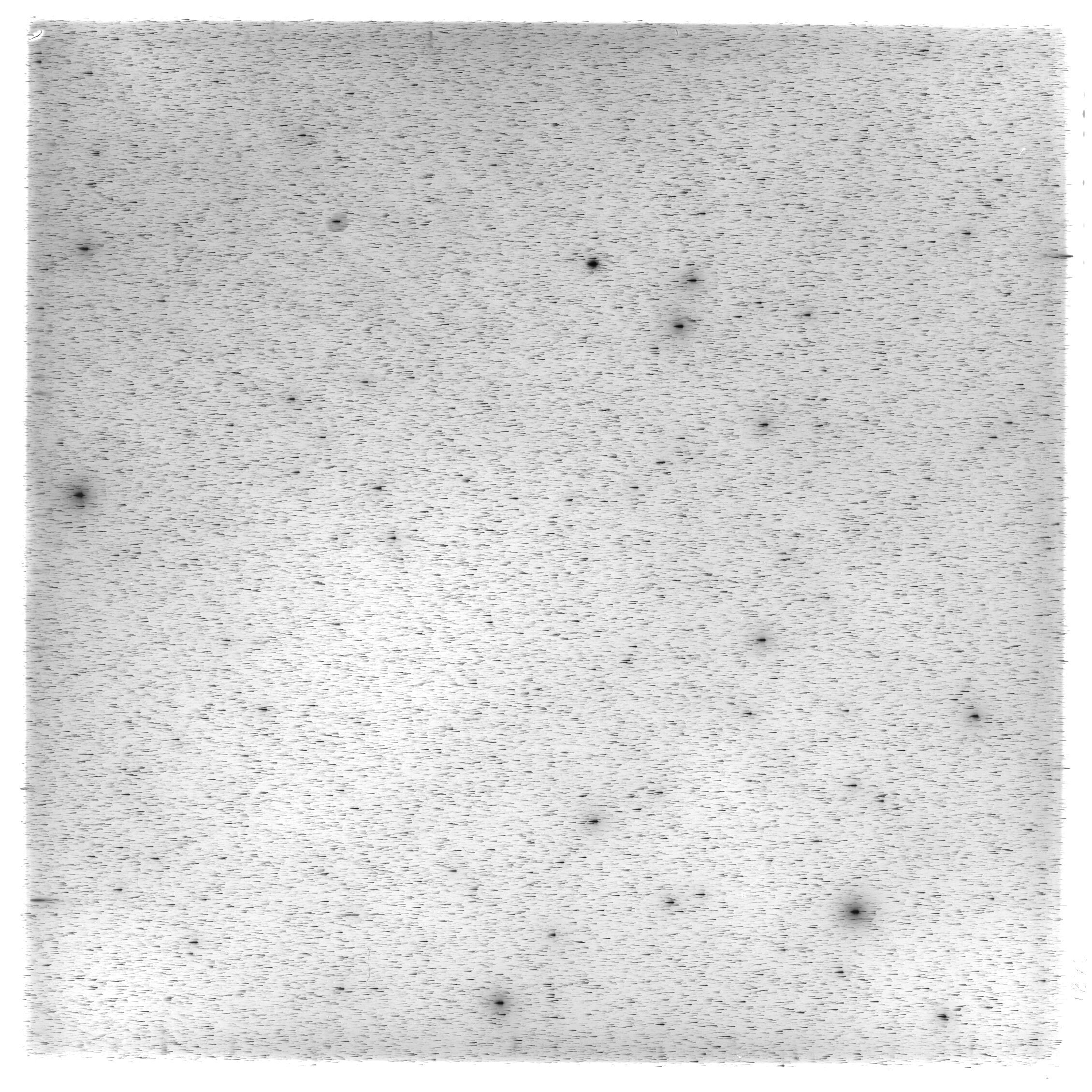 Scan HS01898