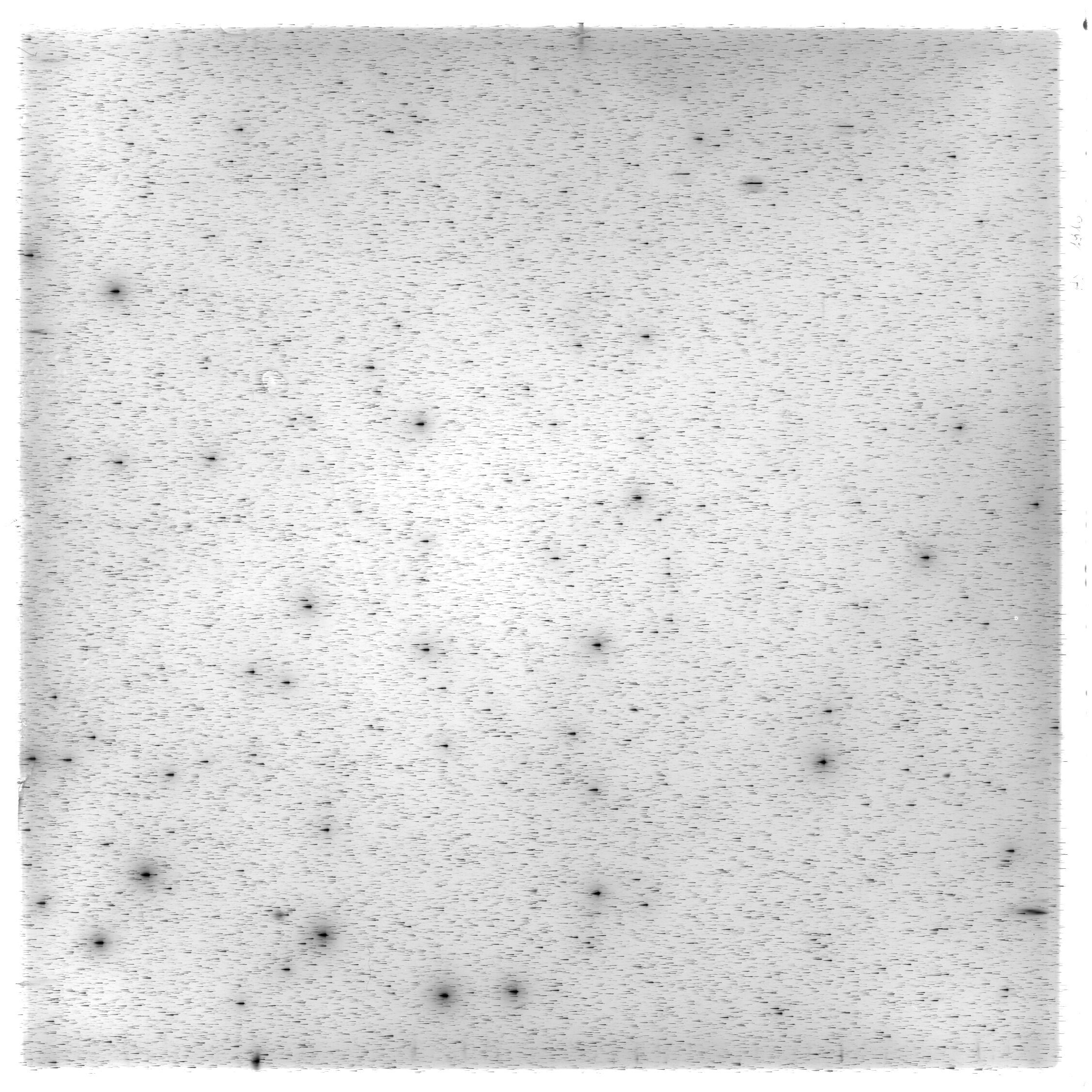 Scan HS01916