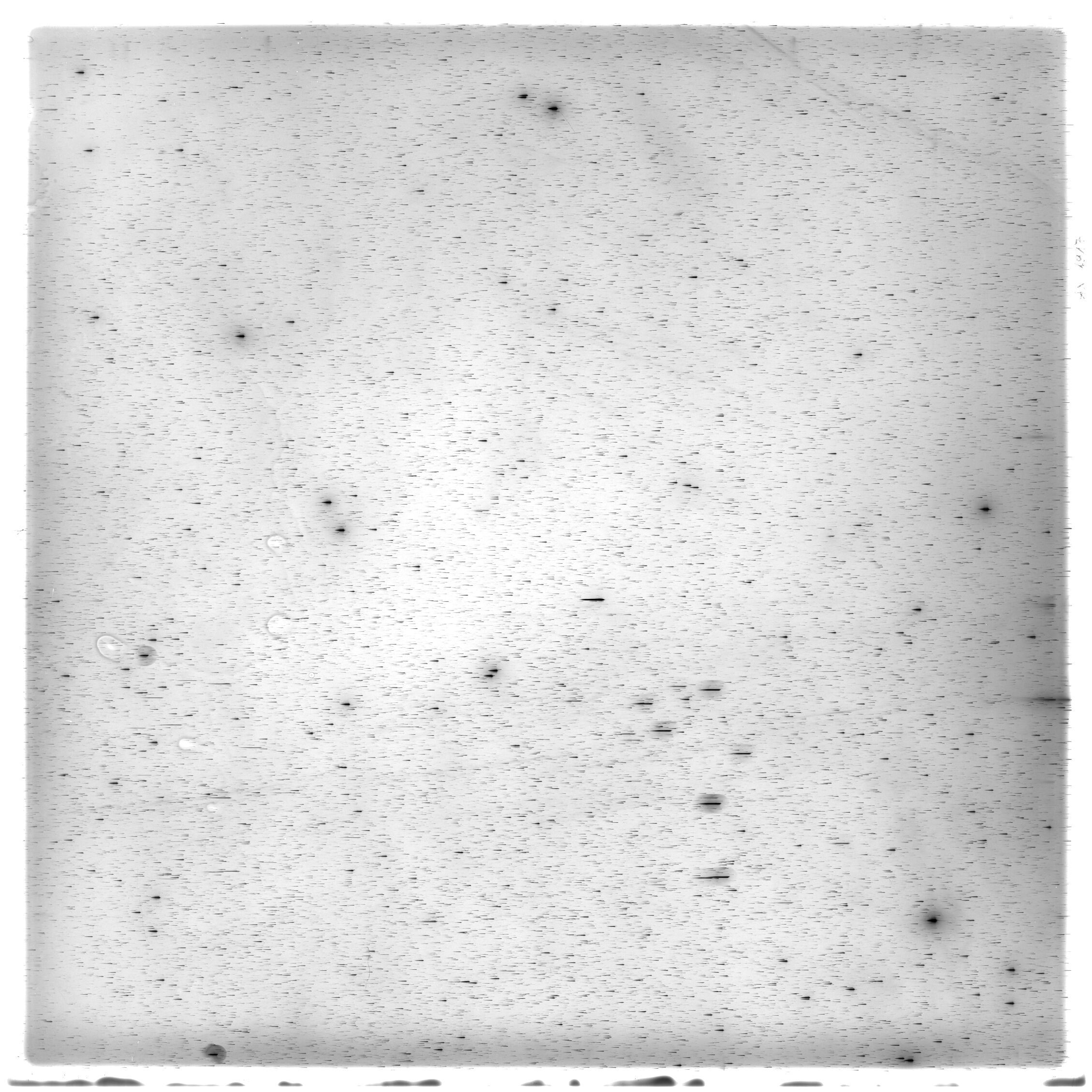 Scan HS01917