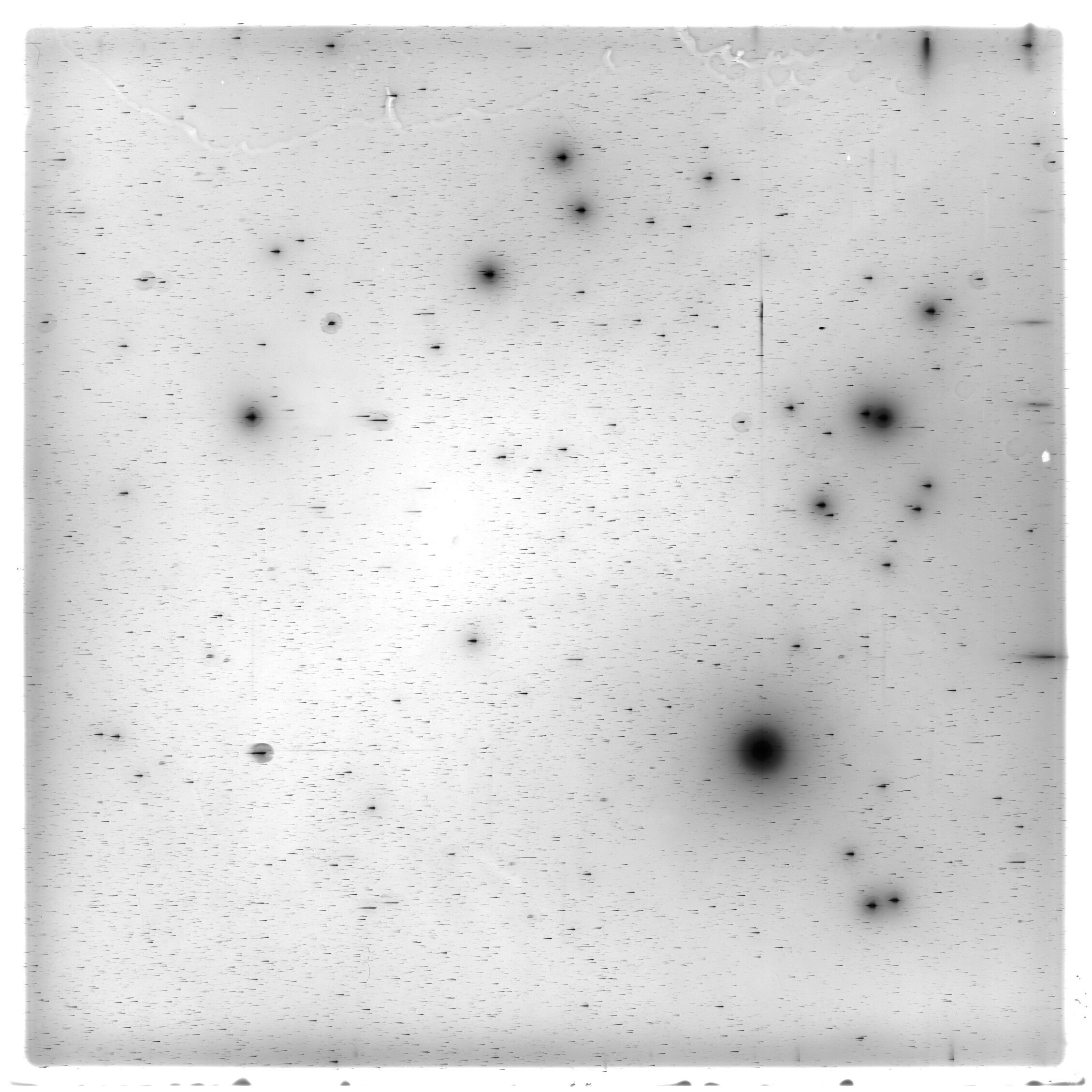 Scan HS01918