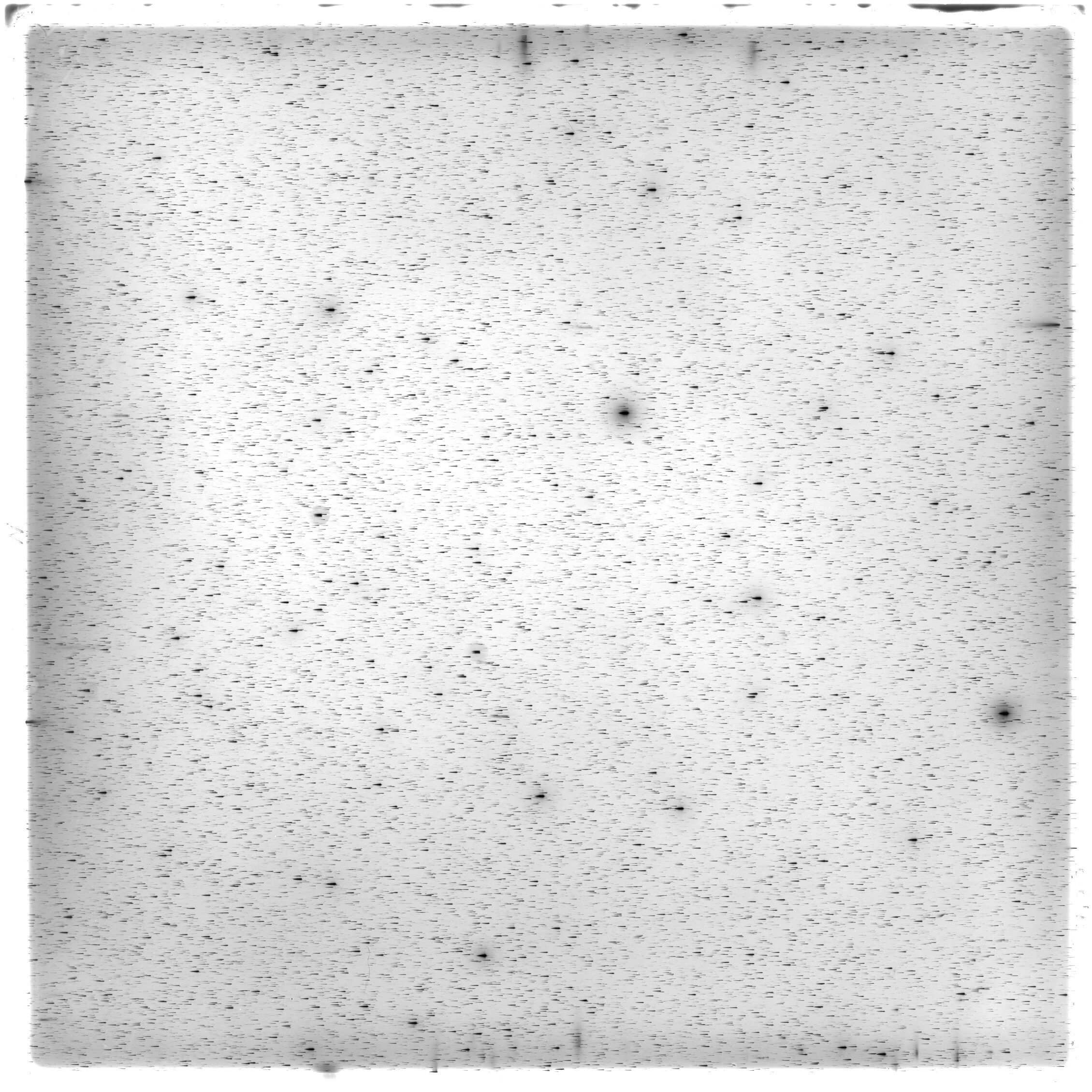 Scan HS01919