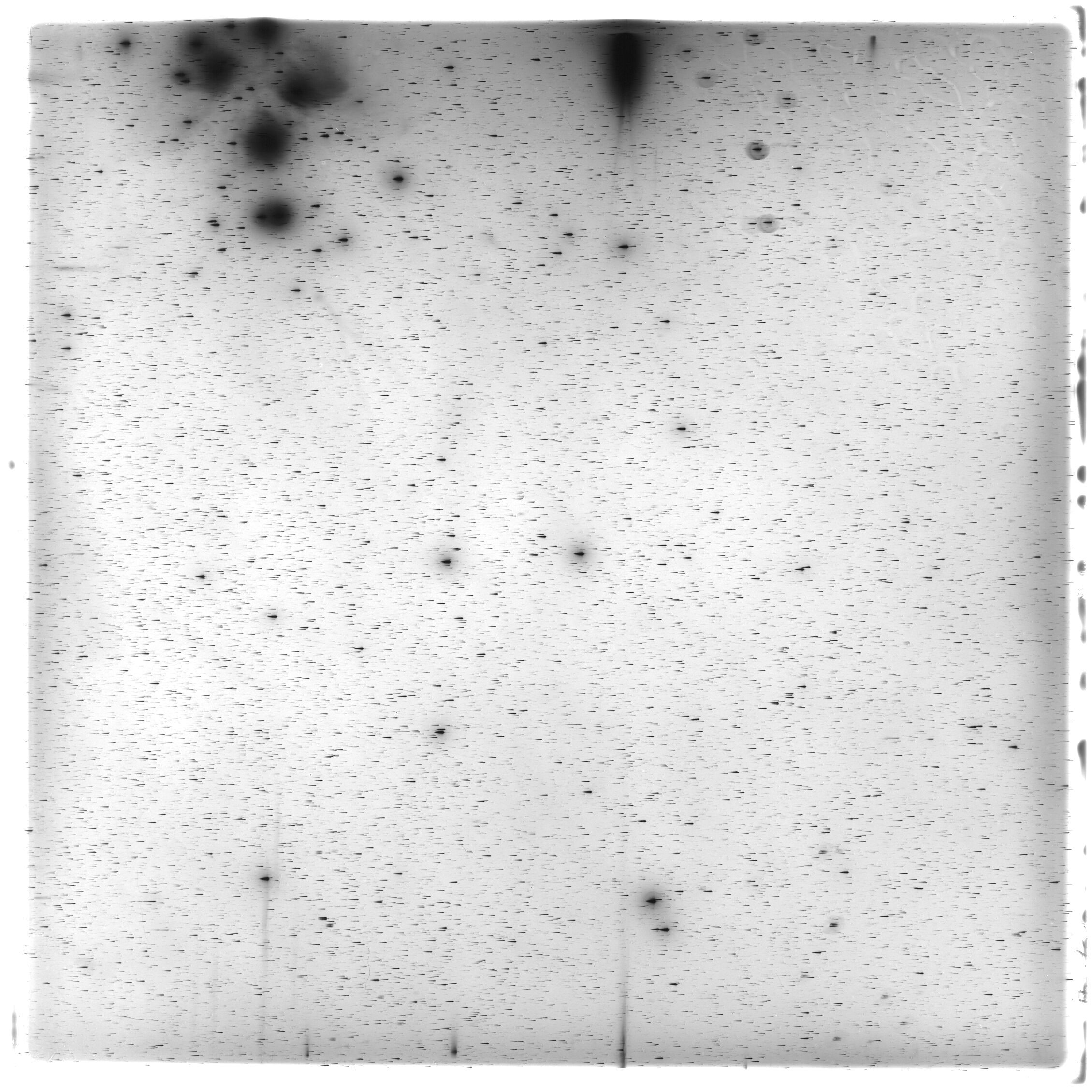 Scan HS01920