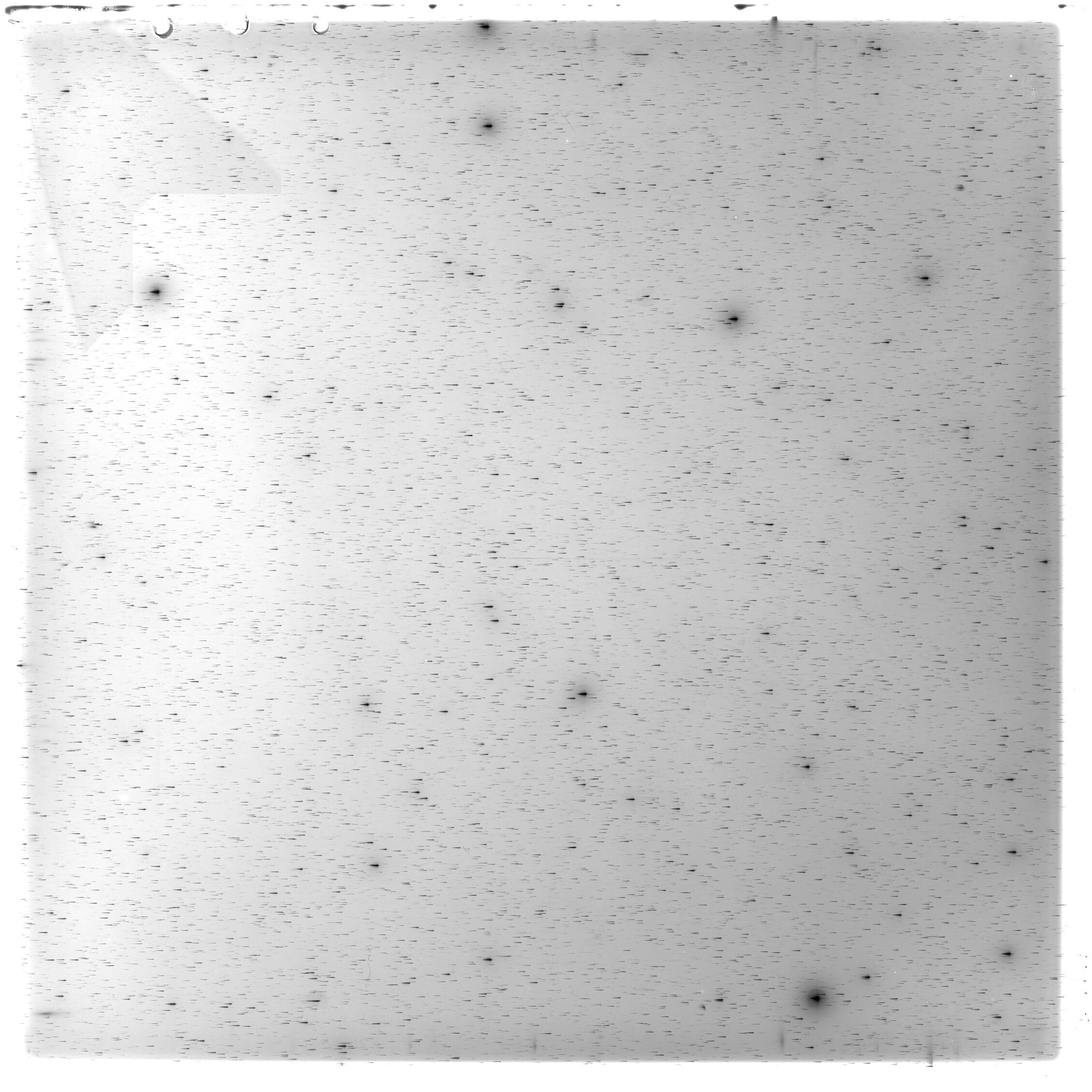 Scan HS01924