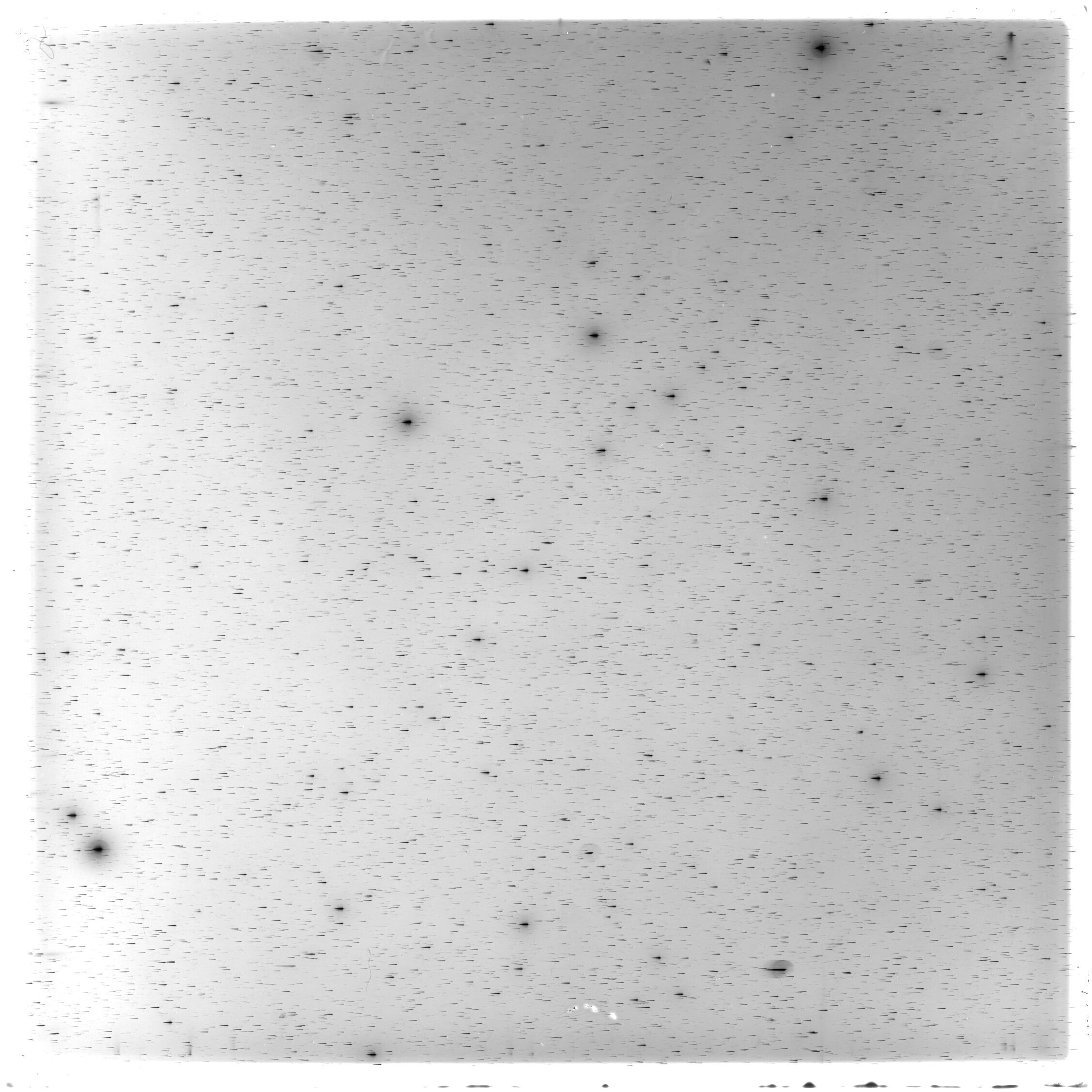 Scan HS01925