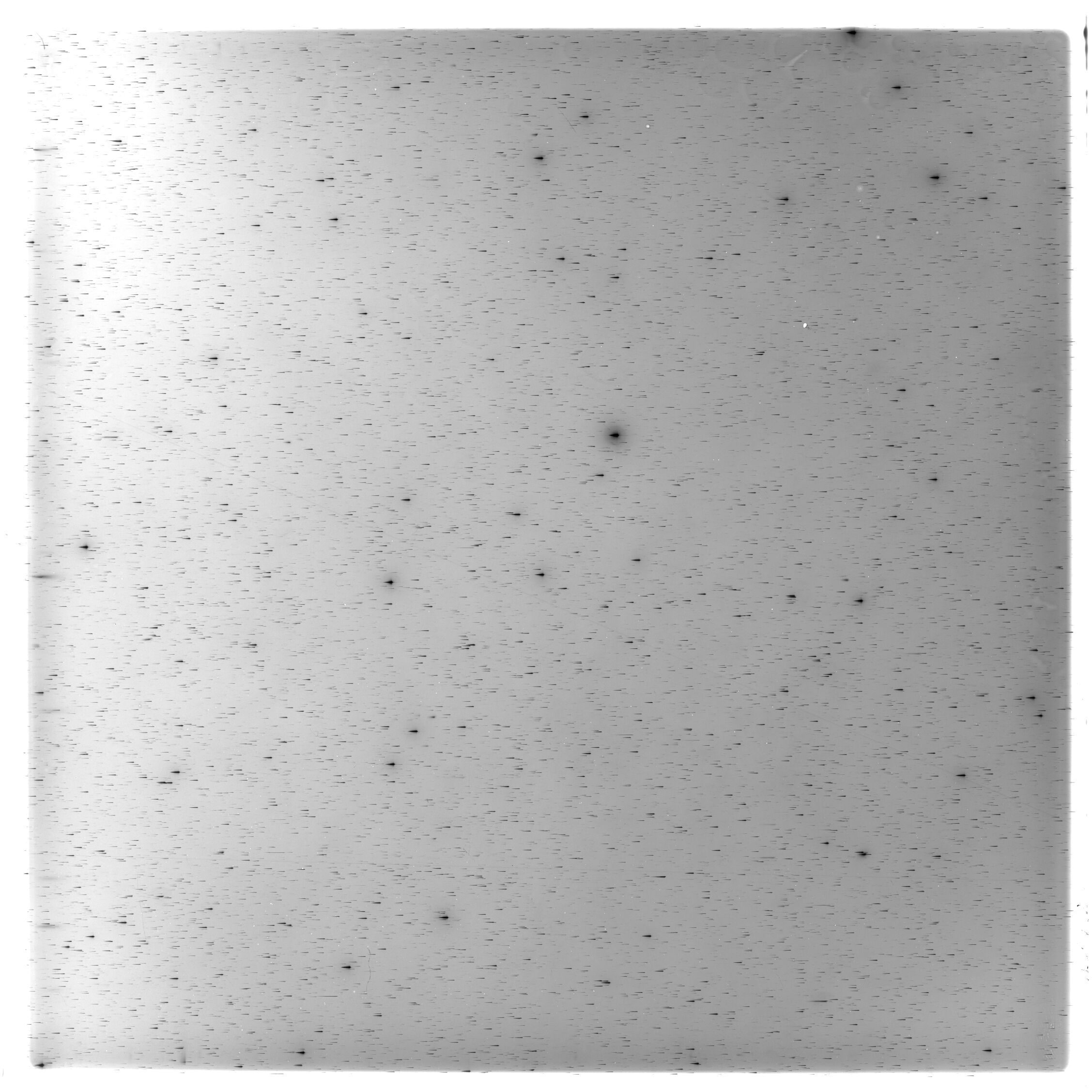Scan HS01928