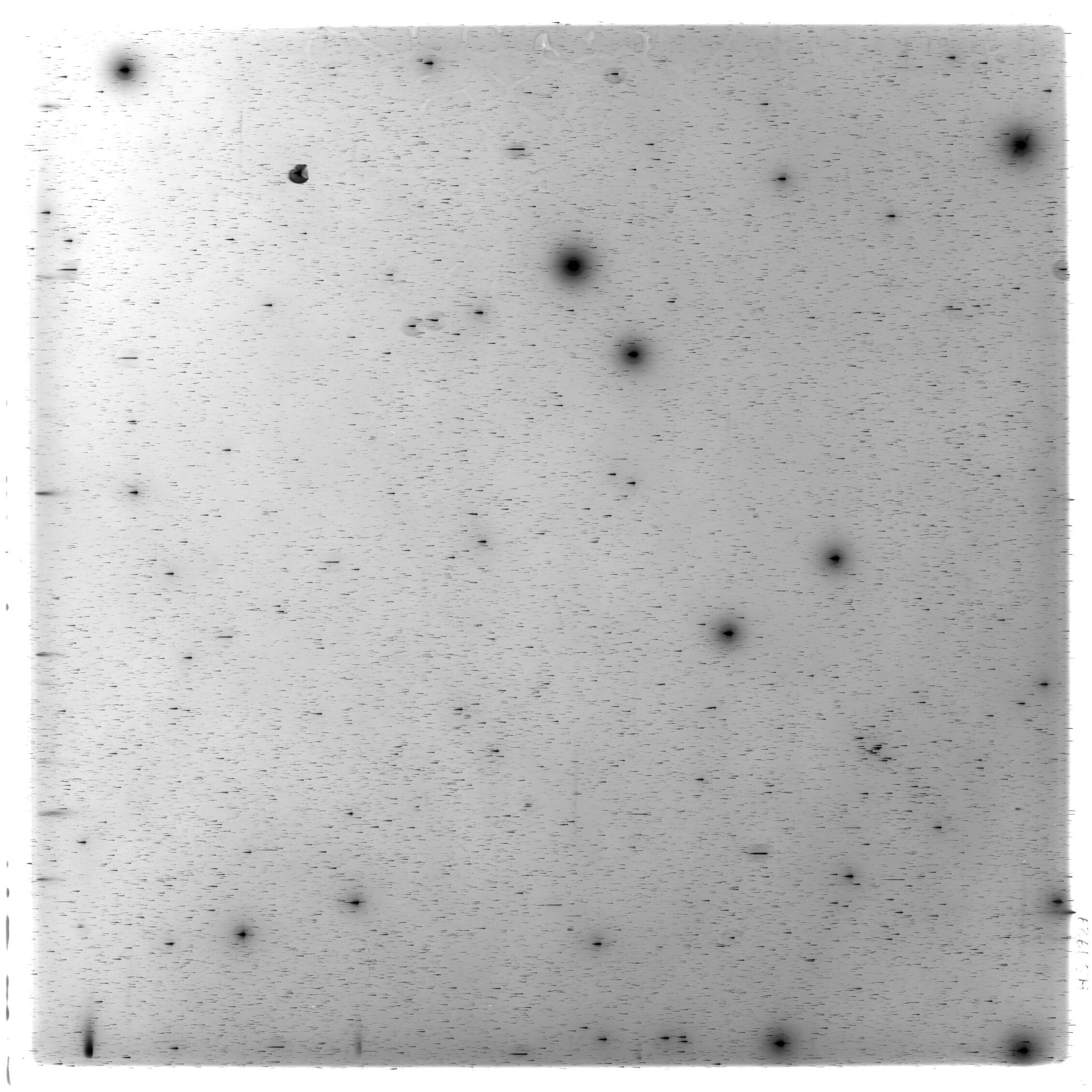 Scan HS01929