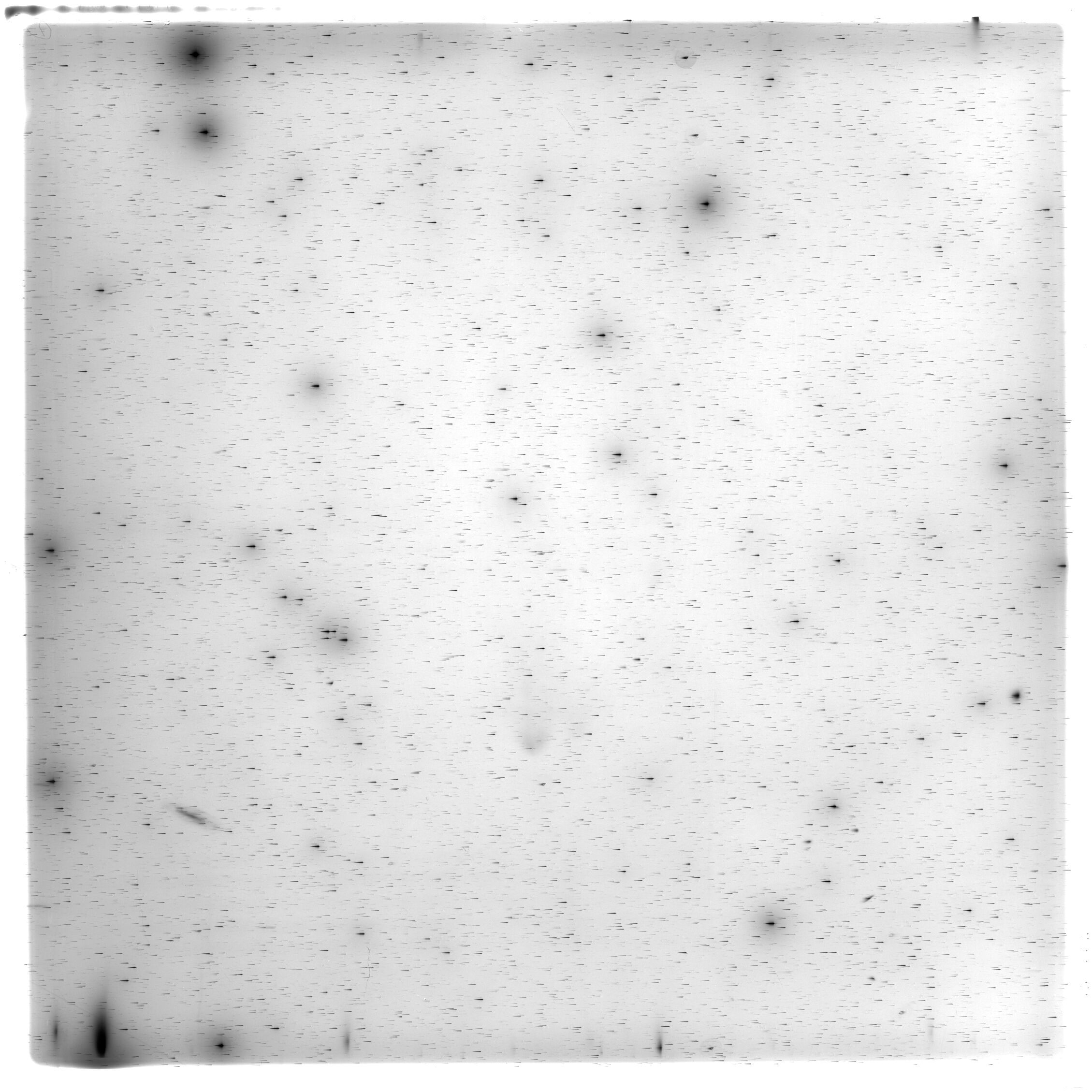 Scan HS01943