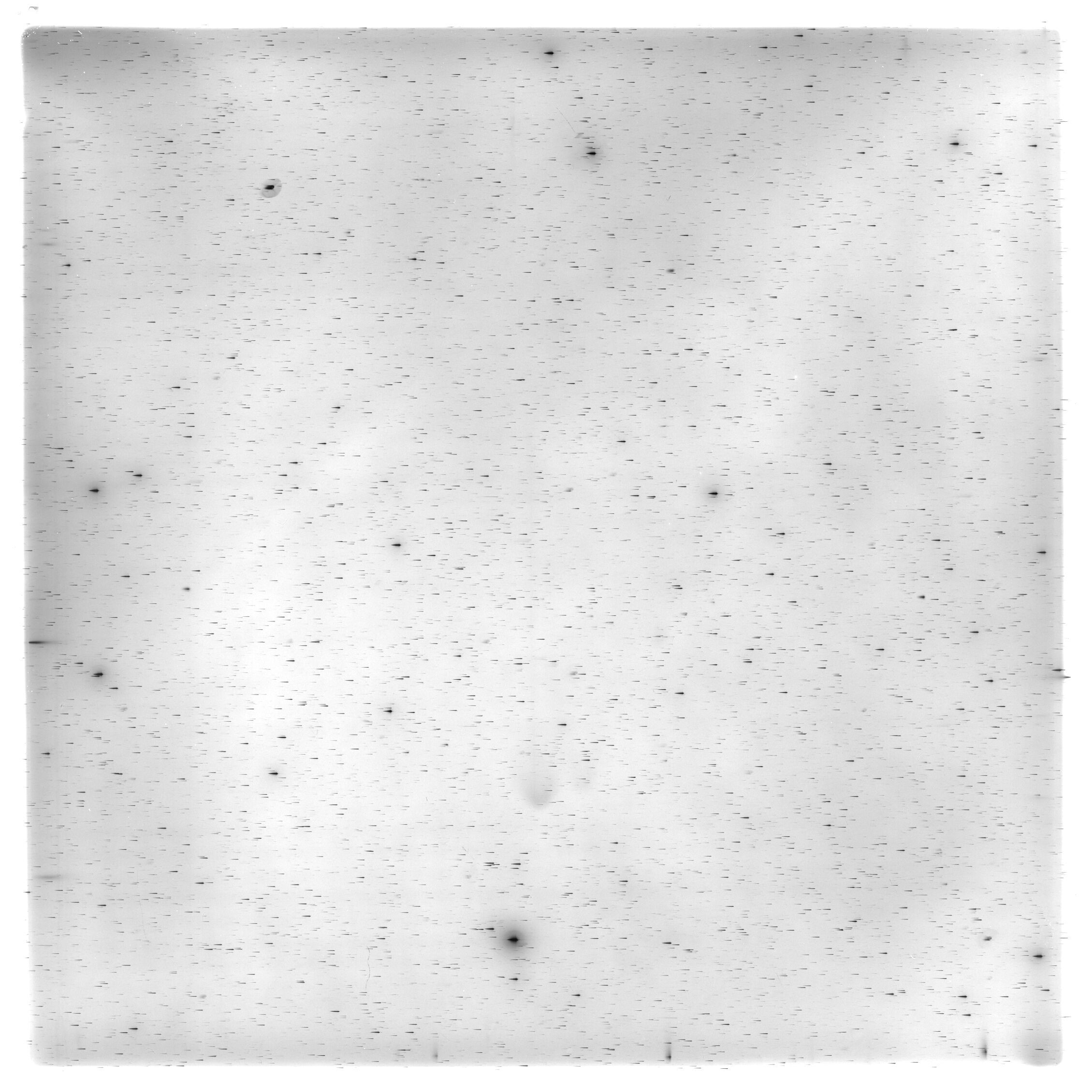 Scan HS01952