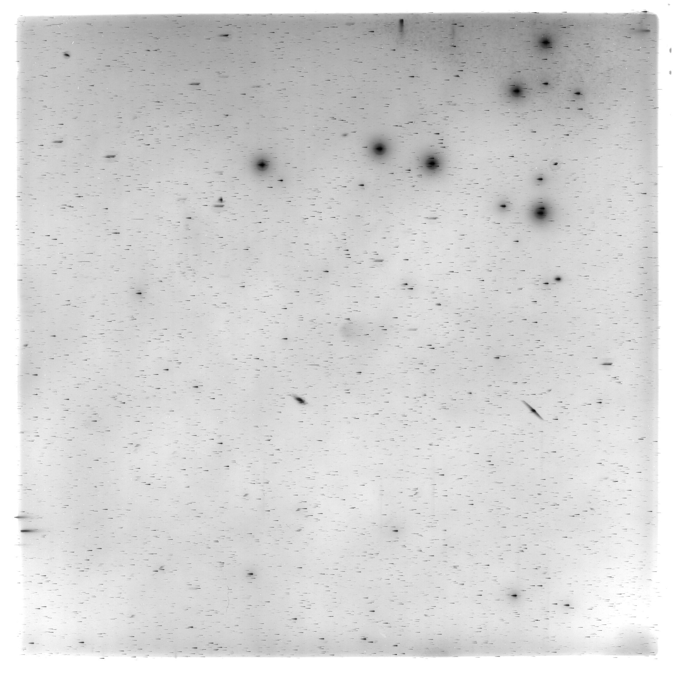 Scan HS01953